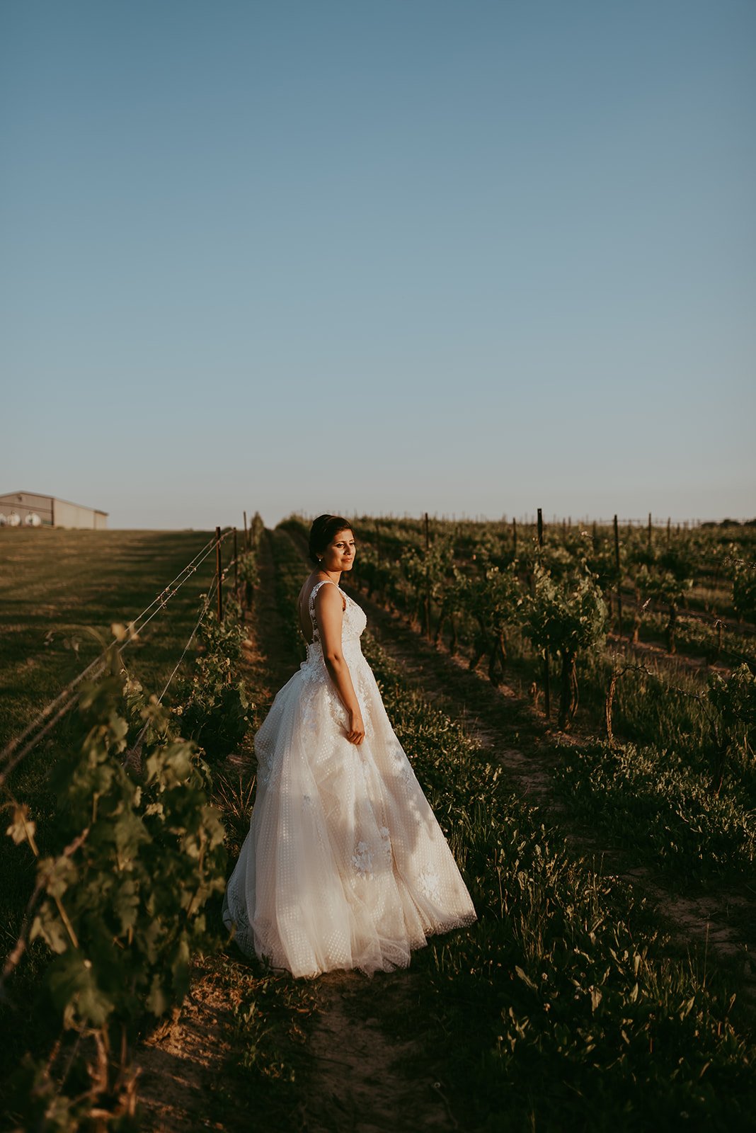 June-outdoor-wedding-niagara-sue-ann-staff-estate-winery-bride-sunset-portraits.jpg
