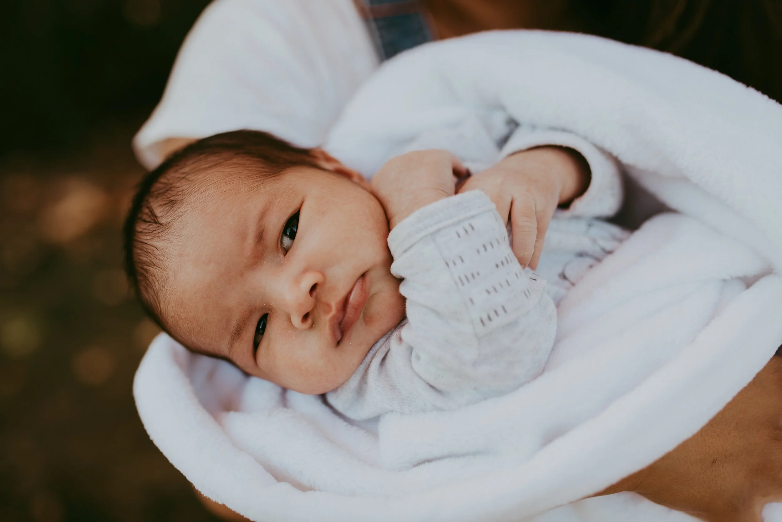 newbornsesh-407.jpg