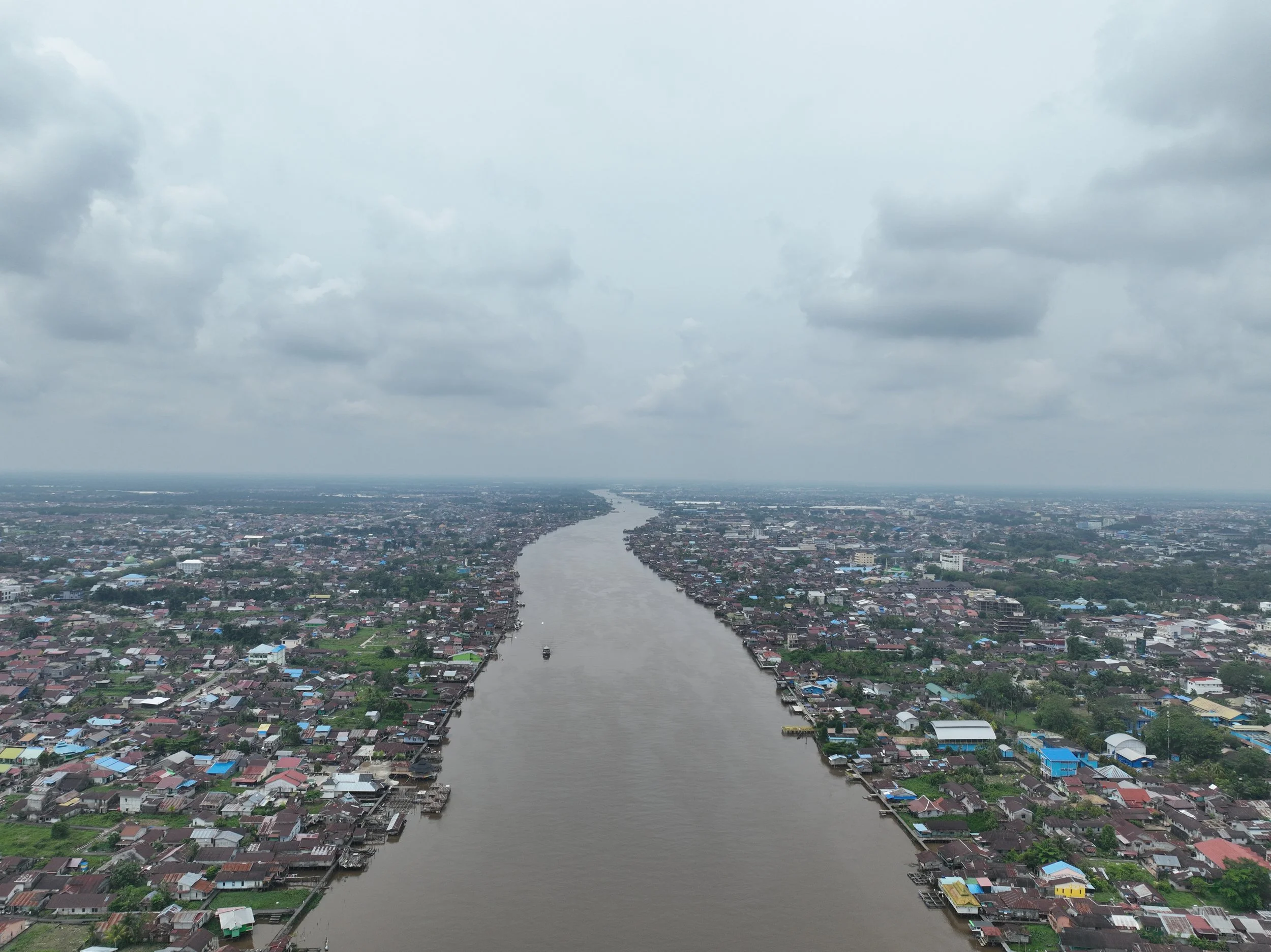 Executive Summary: Freshwater Stingray Conservation in West Kalimantan