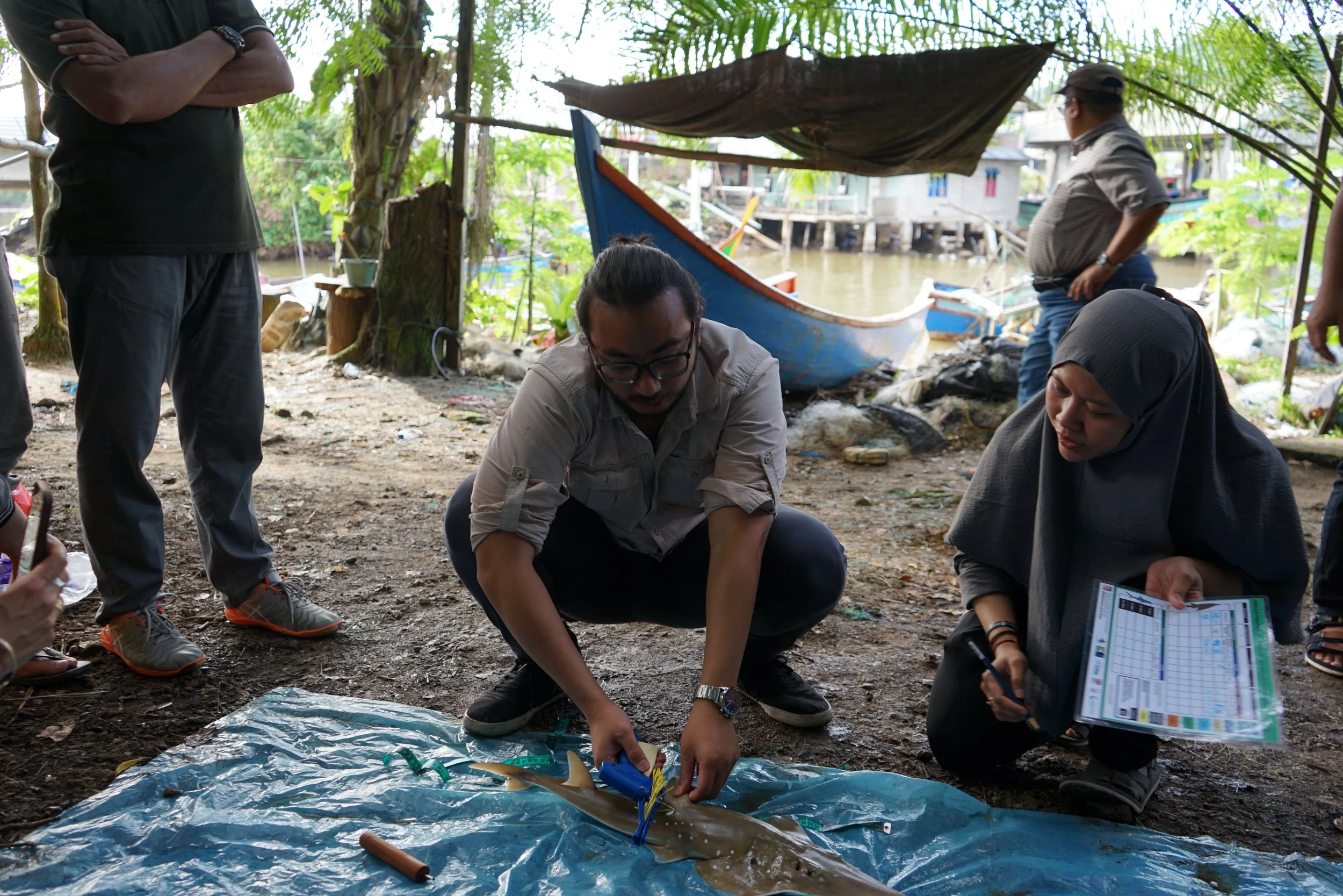 Shark Tagging Workshop in Aceh Jaya 