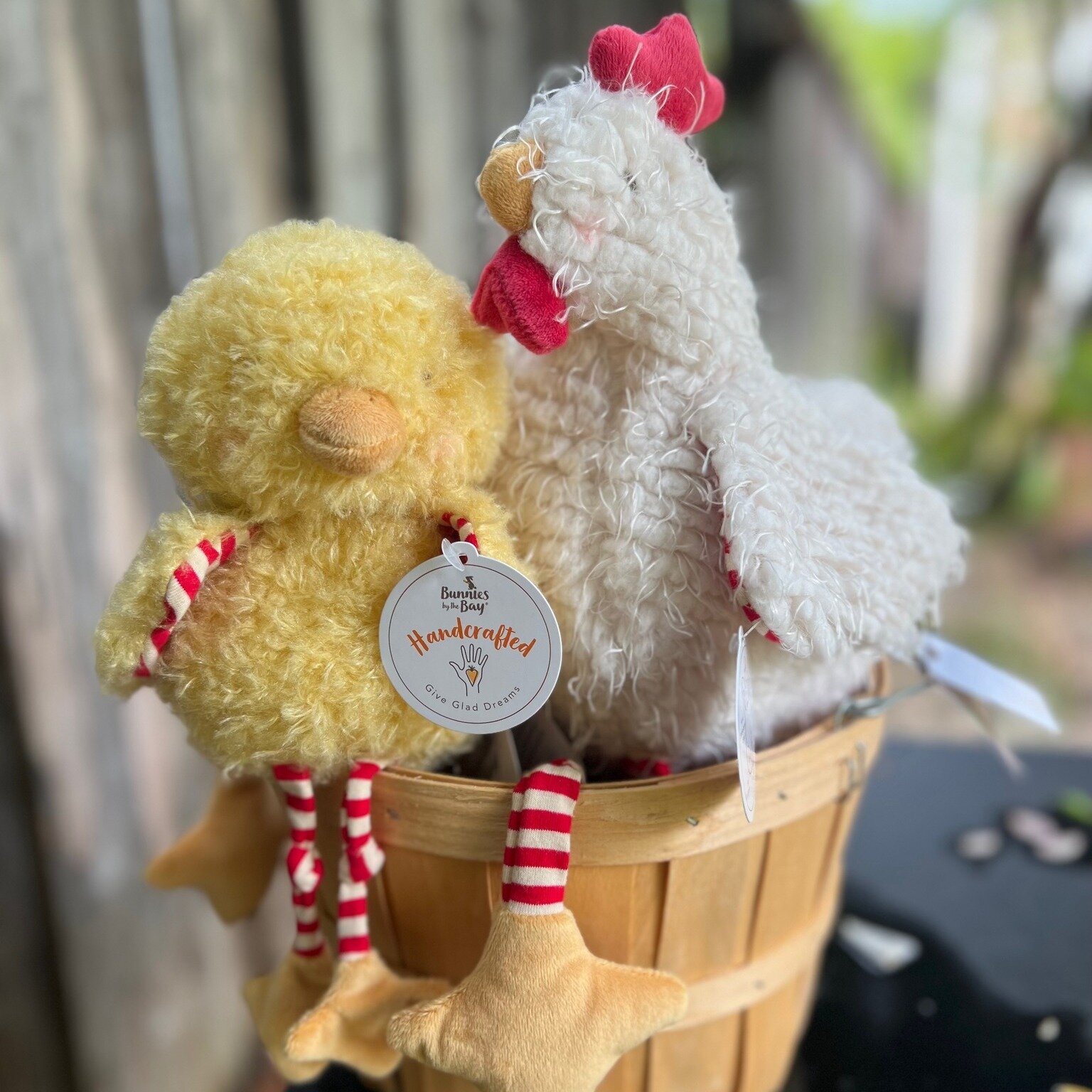 Clucky and Wee Clucky are back in stock after a long absence.  We LOVE these chickens, and though they are manufactured for kids (safe for all ages), we love them for ourselves too! Super soft and available in our on-line shop!!

 #petalumacaliforina