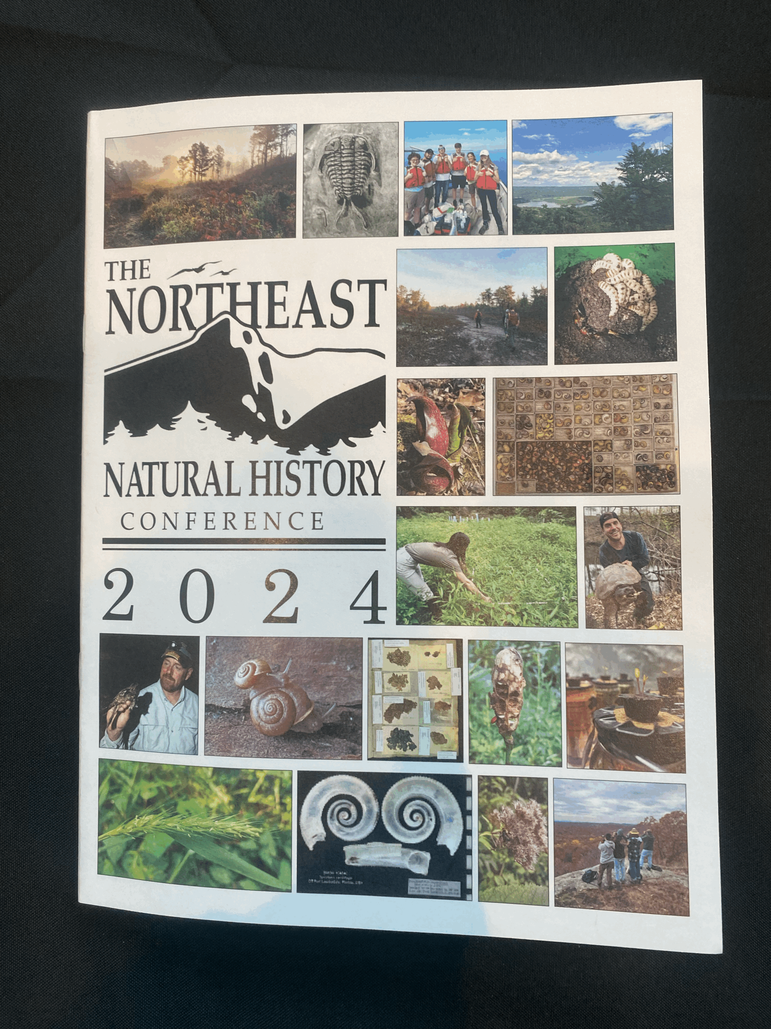 New England Natural History Conference 2024