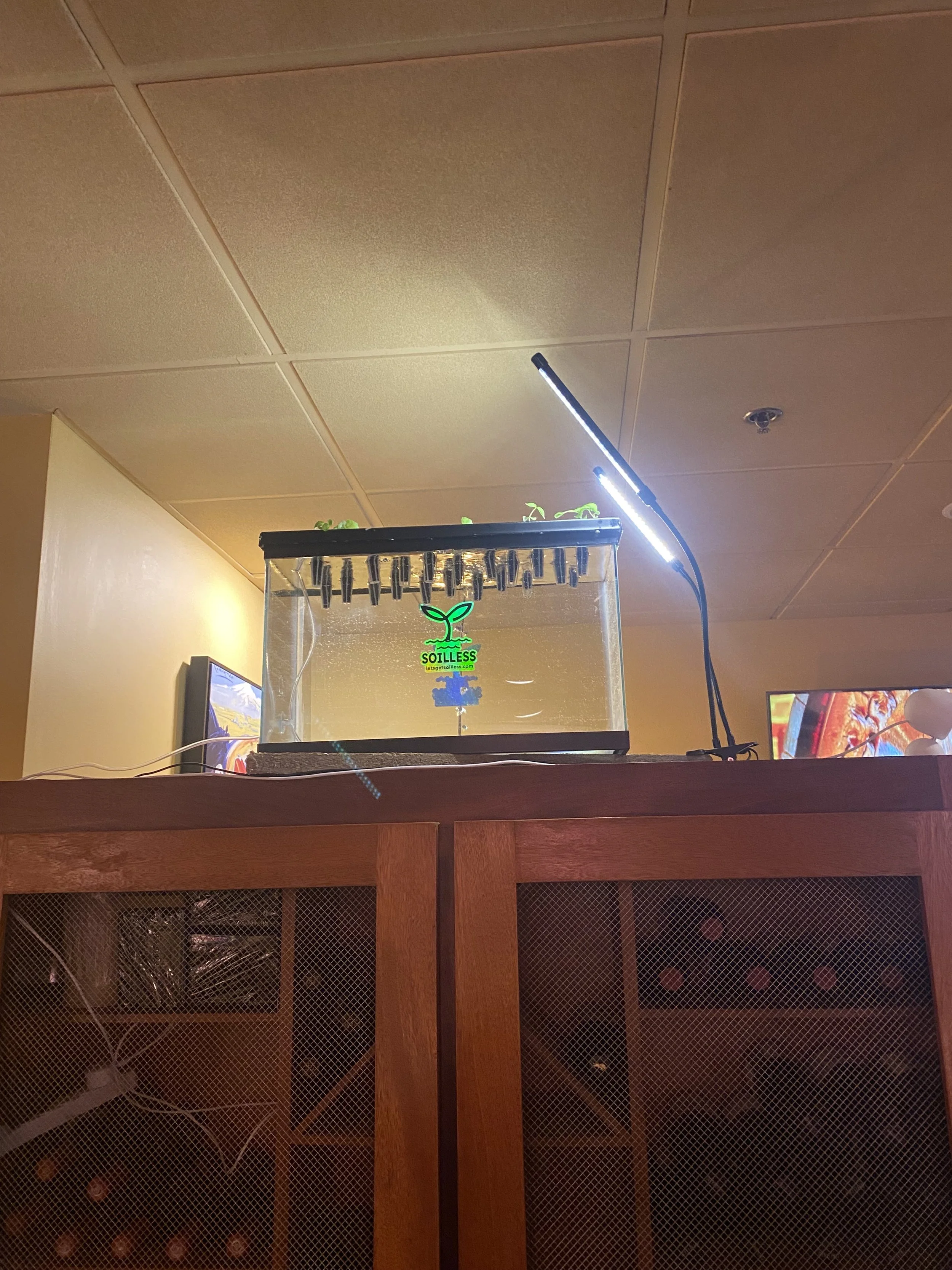 Initial Set-Up