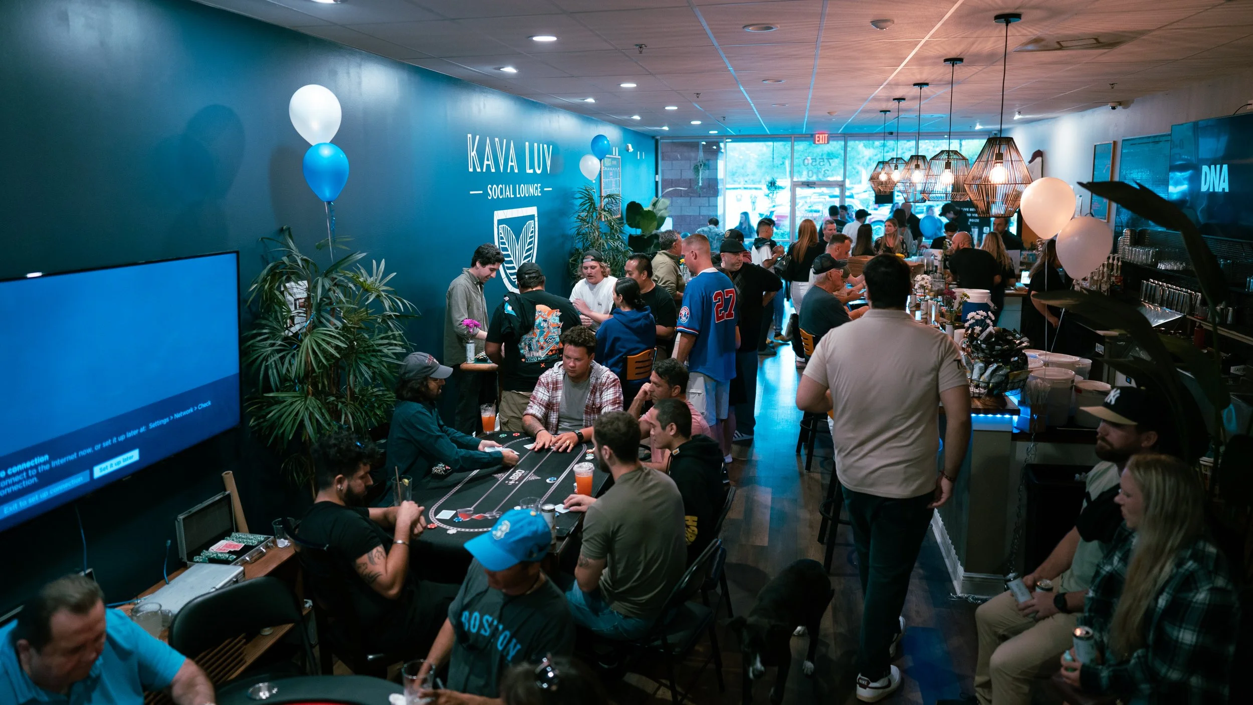 Kava Bars: Passing Fad or Emerging Trend?