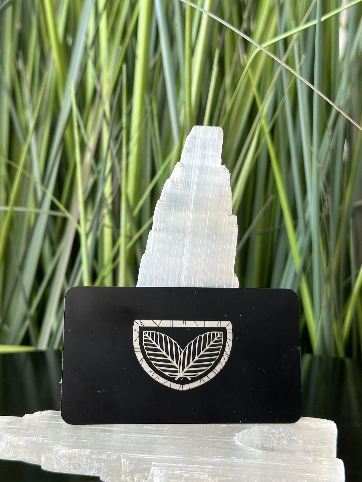 Embracing the Kava Luv Lifestyle: Meet Our Executive Members