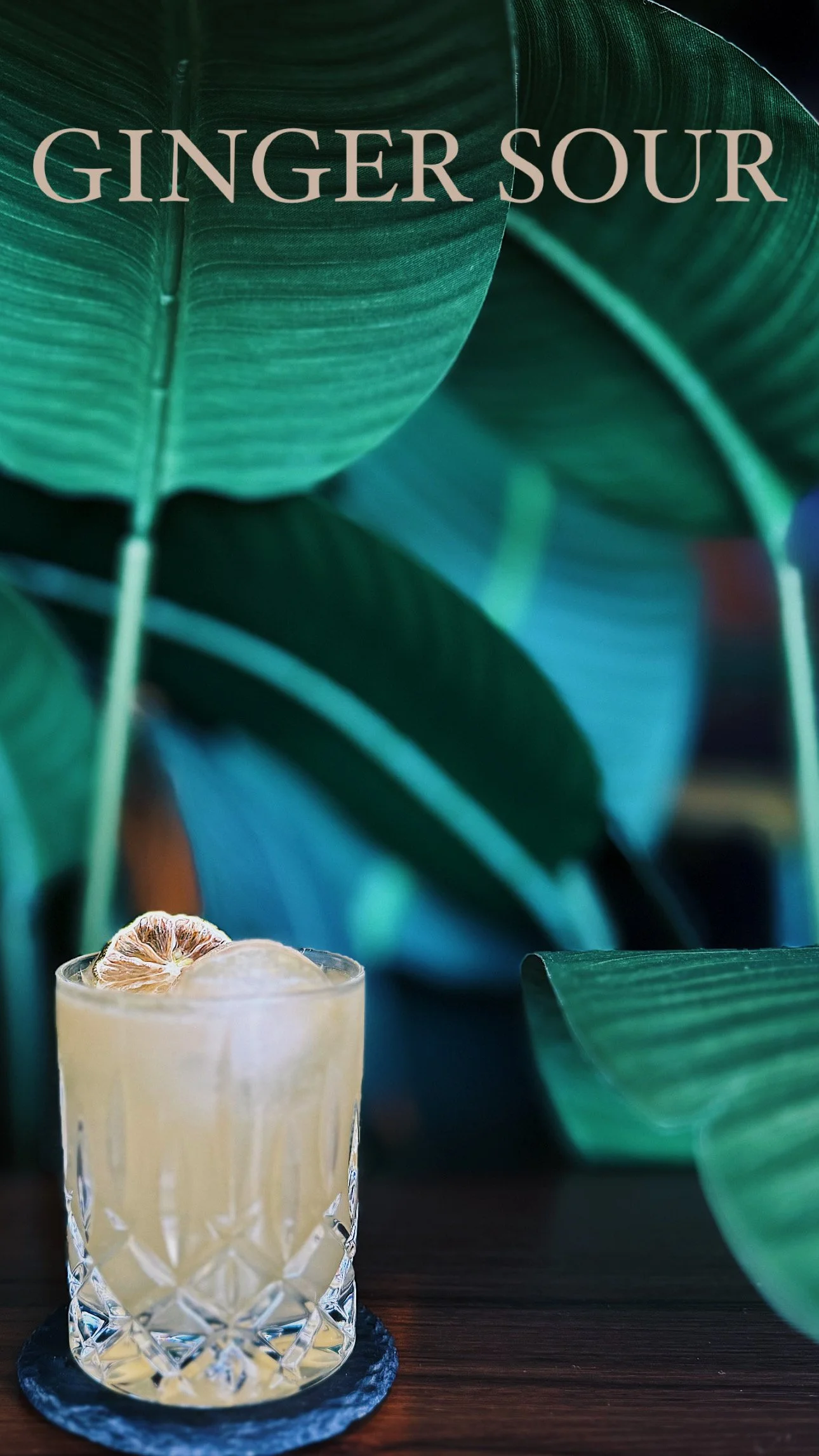 Philly’s Picks: The Ginger Sour