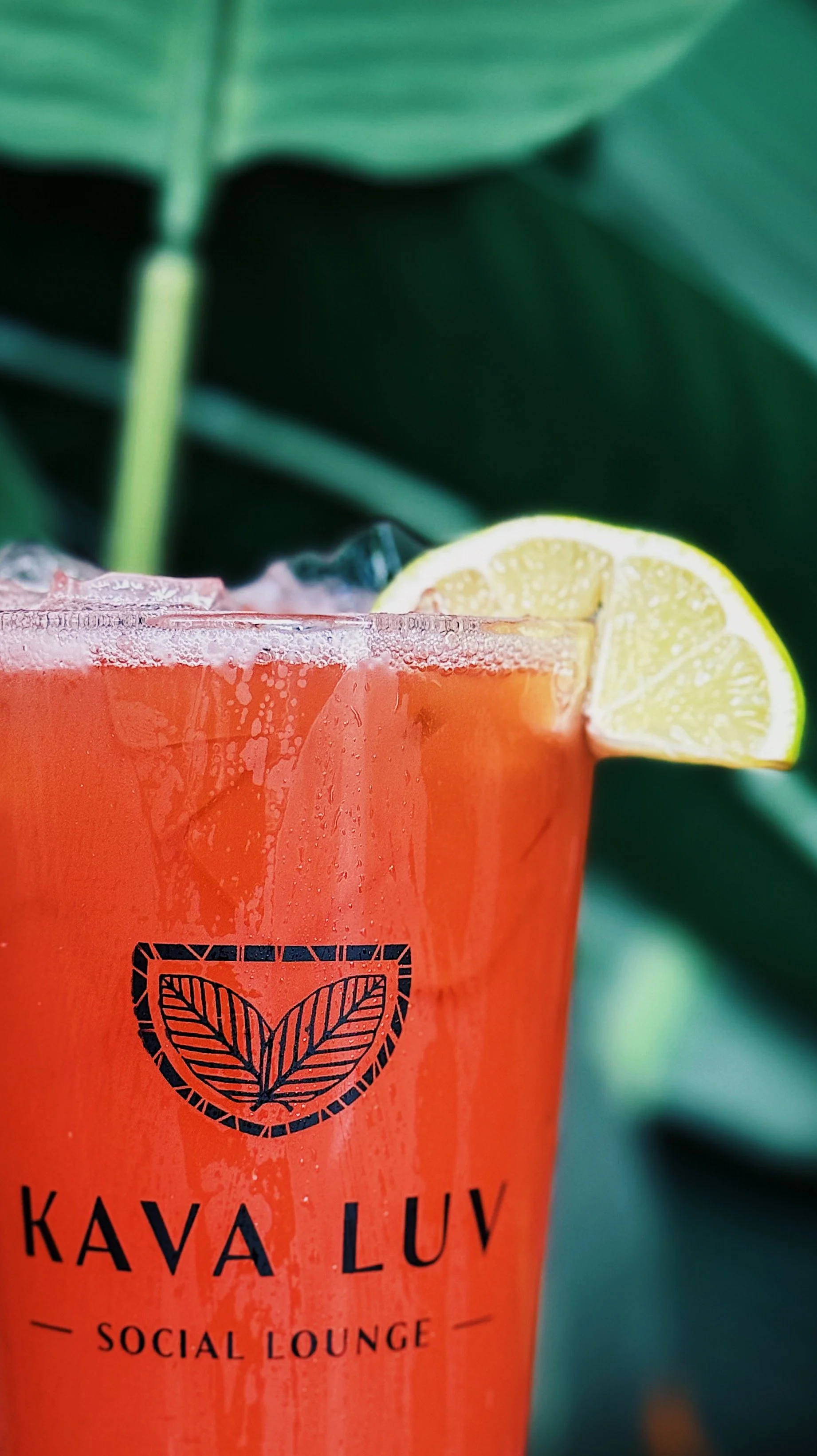 Philly’s Picks: JUICED4U