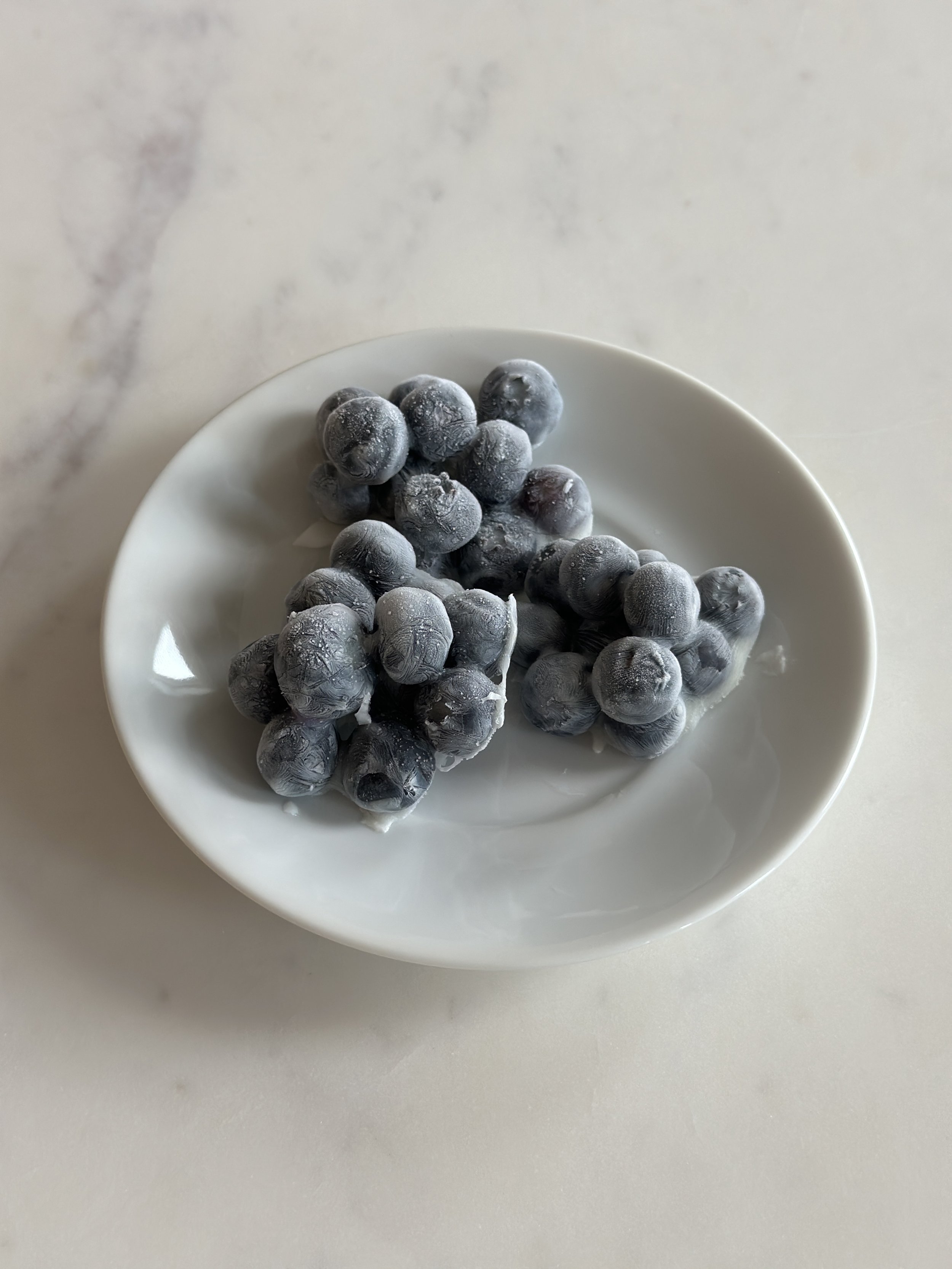 Frozen Yogurt Fruit 