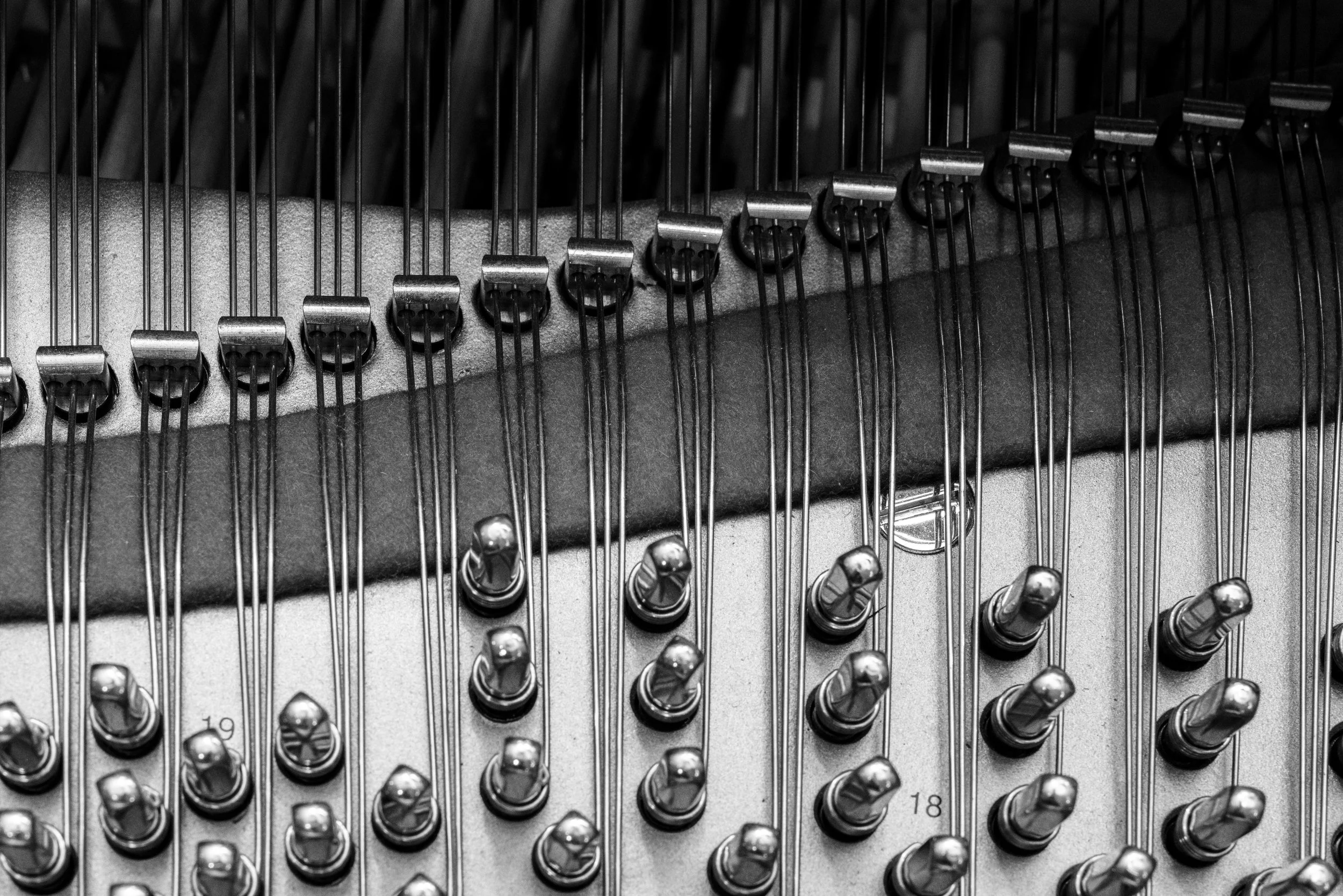 Steinway&Sons_DSC9920.jpg
