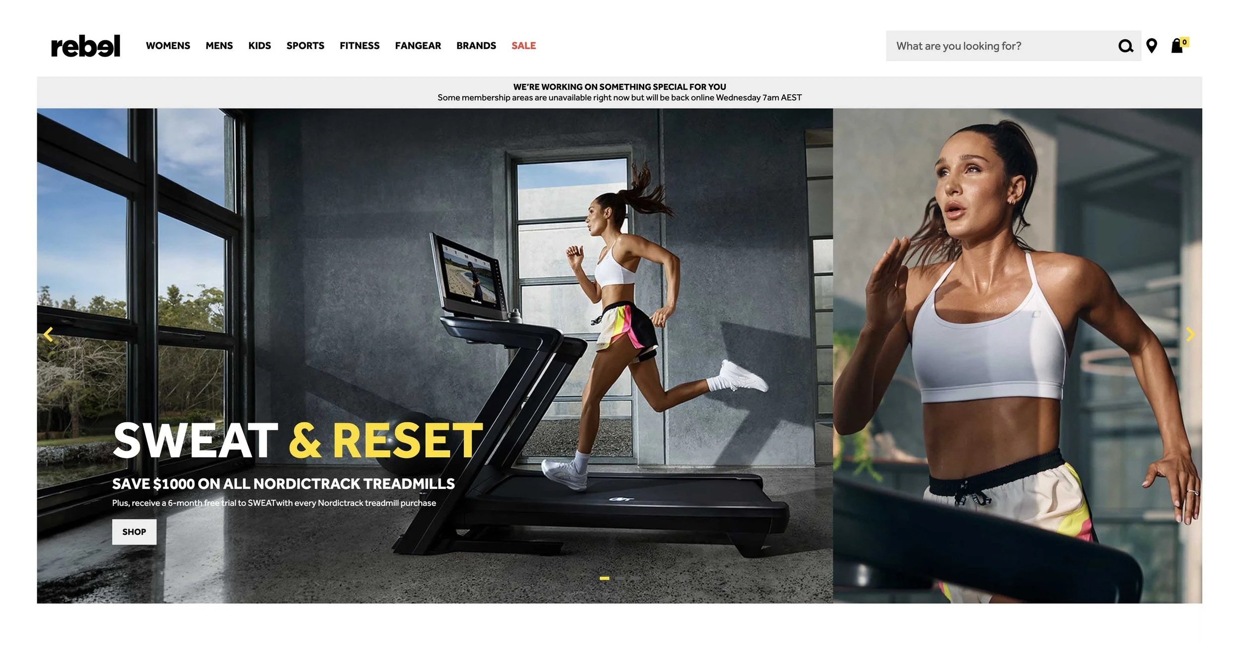 Kayla_Website_Images.psd_0003_Layer 1.jpg