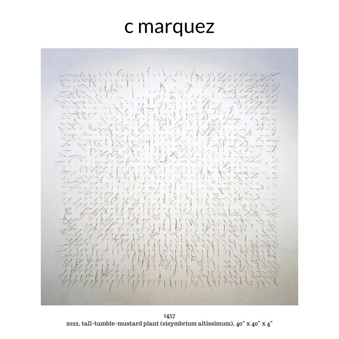 Today and tomorrow are the last days to see the inspiring and contemplative installation by VIEWPOINT artist c marquez @cmarquez.x 

&quot;Living barely on grid in northern New Mexico, my 3D biotic, grid installations are informed by cellular, landfo