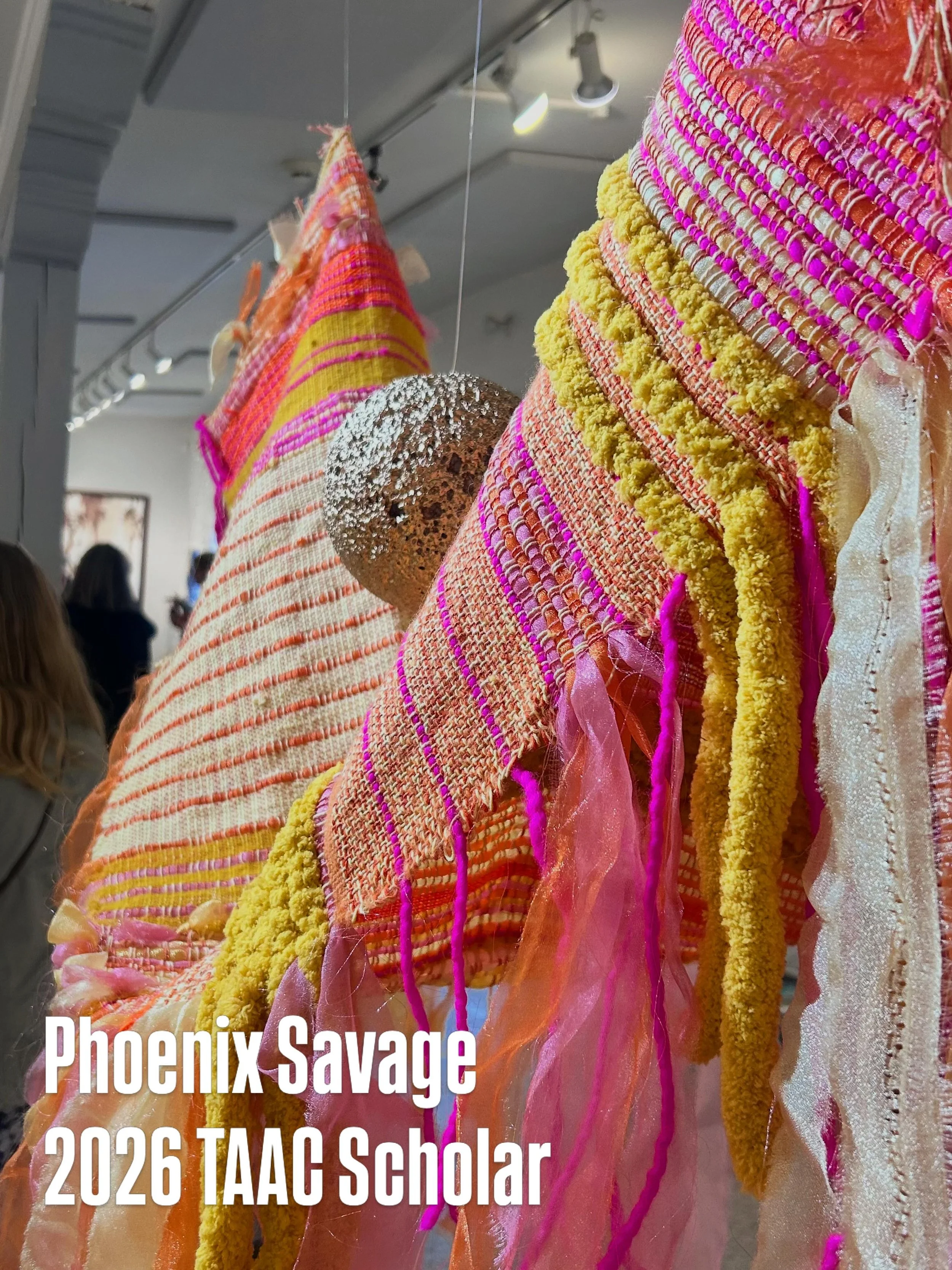 This Spring, TAAC is proud to announce Santa Fe-based Phoenix Savage as the TAAC Scholar award recipient. Phoenix is a medical anthropologist and sculptor creating interactive installations that evoke sensory engagement. Savage maintains a layered, r