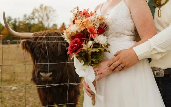 A bride in a white wedding dress holding a bouquet of red, orange, and white flowers, standing next to a groom in a white shirt, with a brown highland cow behind a fence in a rural outdoor Ohio wedding venue.