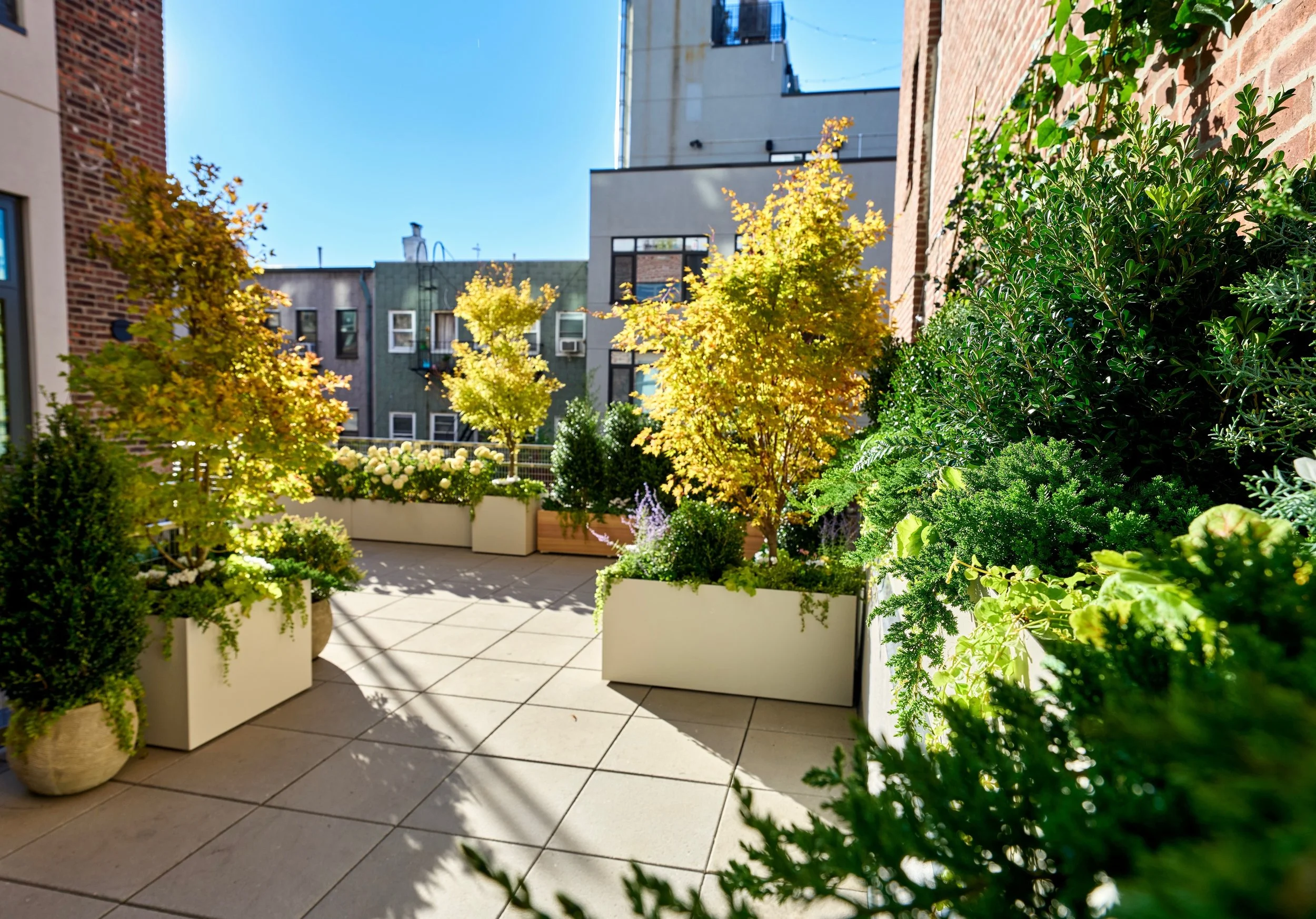 Williamsburg terrace.jpeg