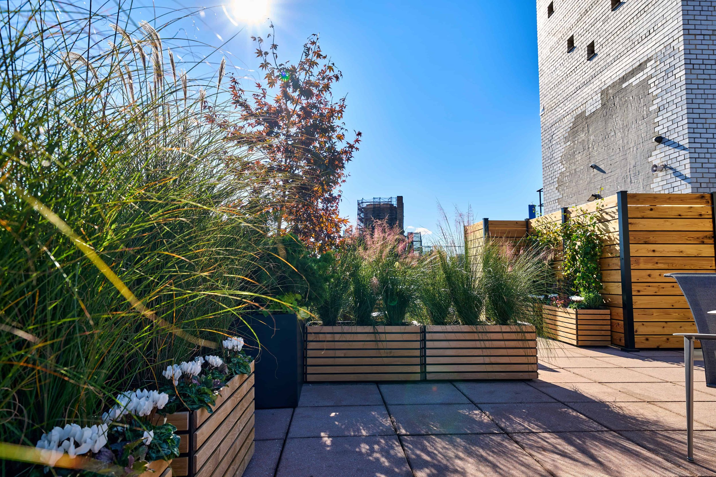 33 Greenwich rooftop_reduced.jpeg