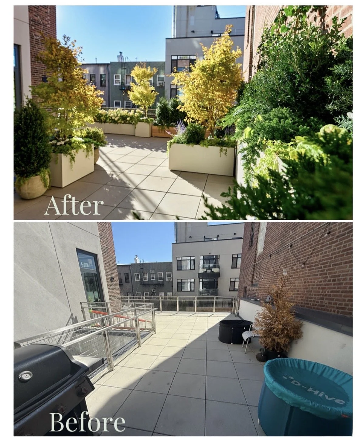 Williamsburg before & after.jpeg