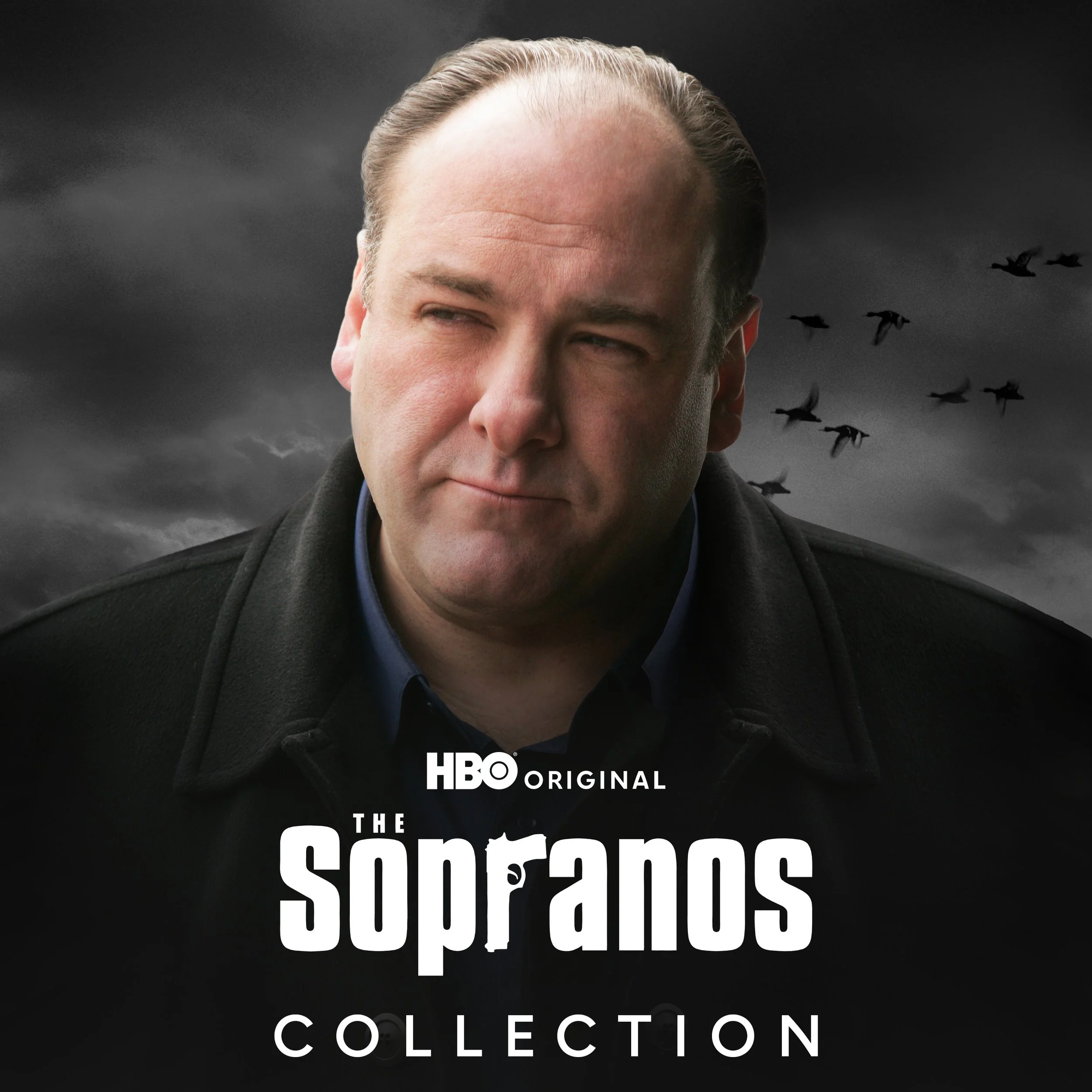 collection-color-exploration-1x1-set3-sopranos1.jpg