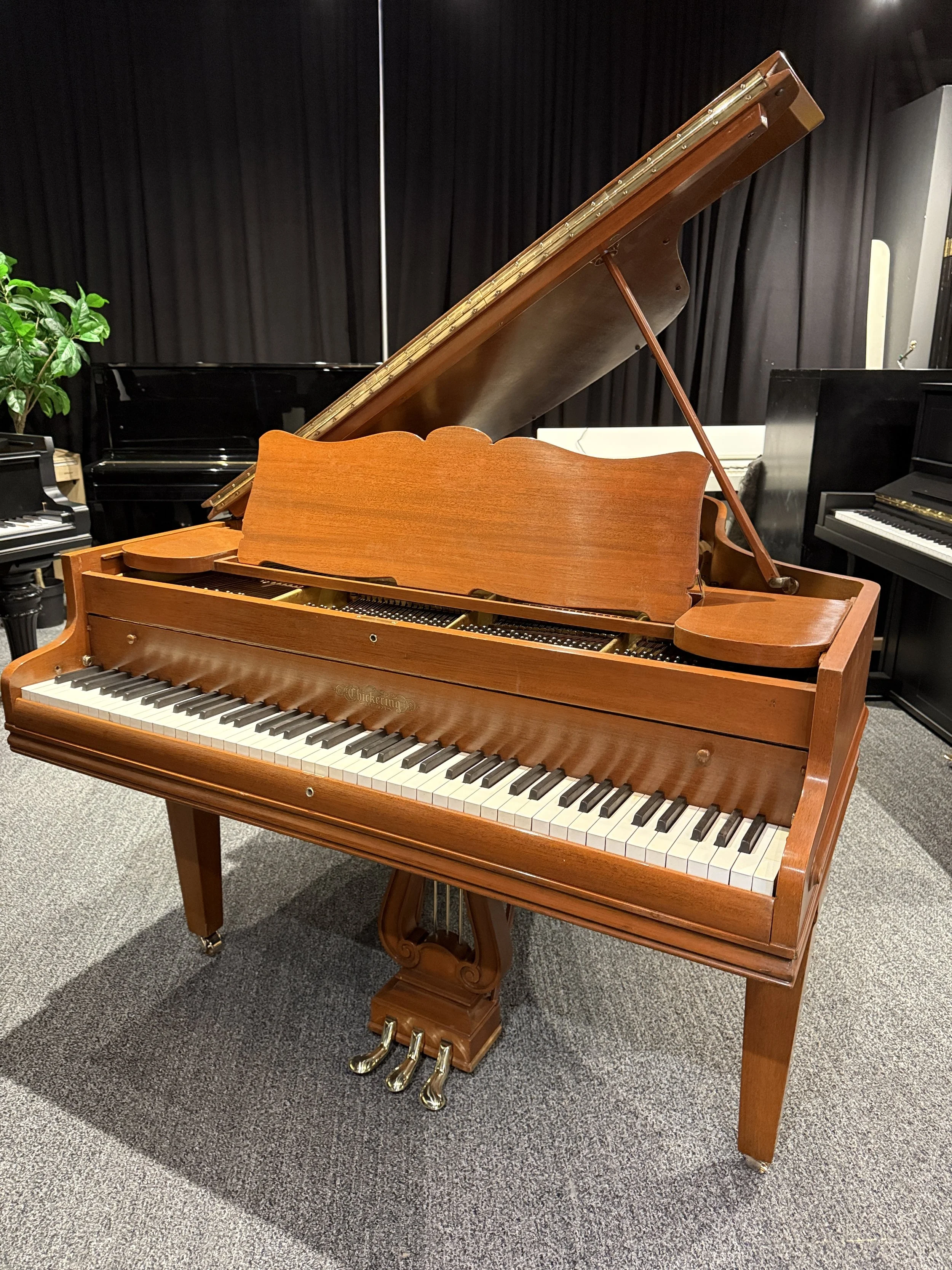 Chickering Baby Grand