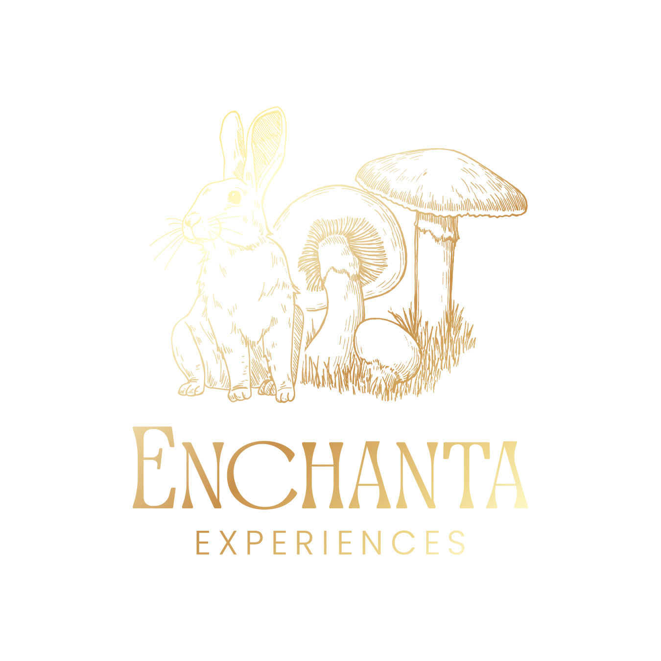 Enchanta Experiences