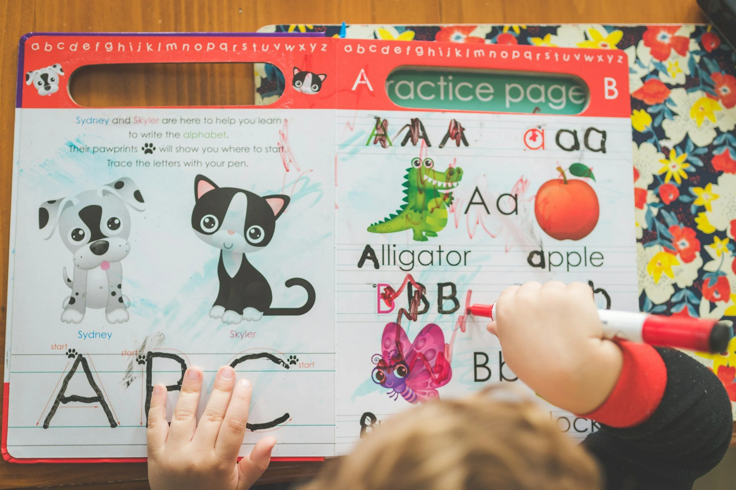 How to Prepare Your Child for 3-K in NYC: The Skills That Matter Most