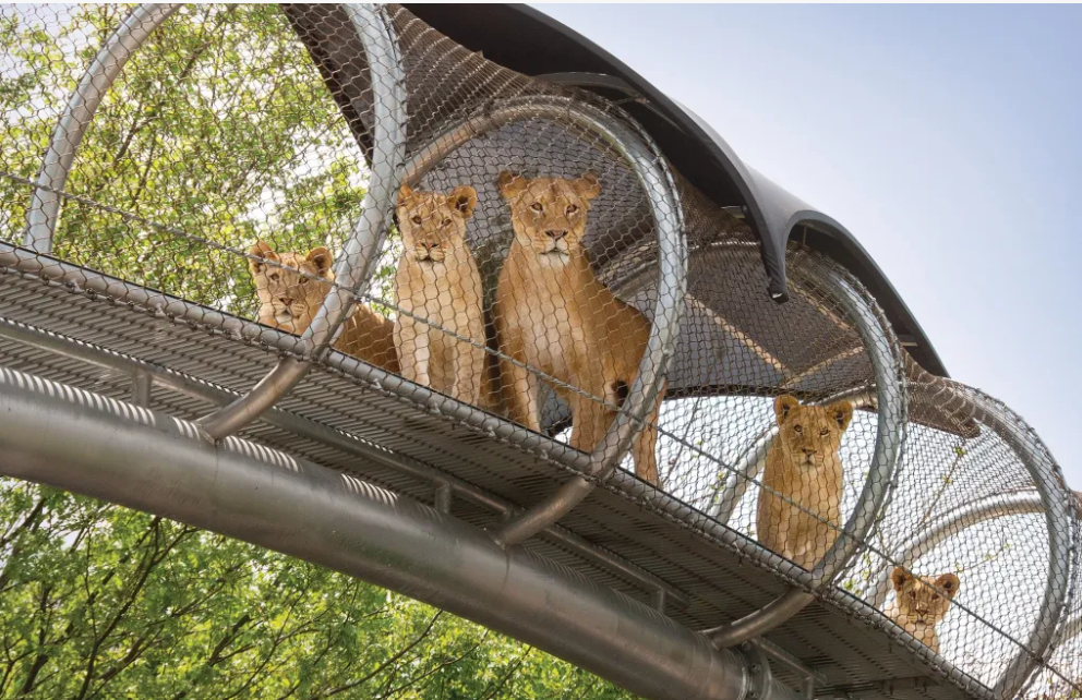 Philadelphia Zoo: A Family Guide (Philadelphia, PA)