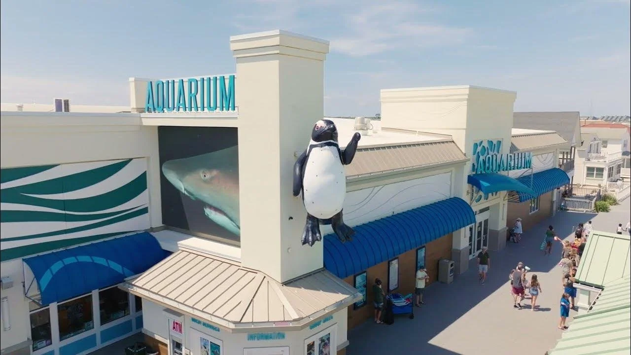 Jenkinson's Aquarium: A Family Guide (Point Pleasant Beach, NJ)