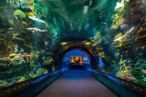 New York Aquarium: A Family Guide (Brooklyn, NY)