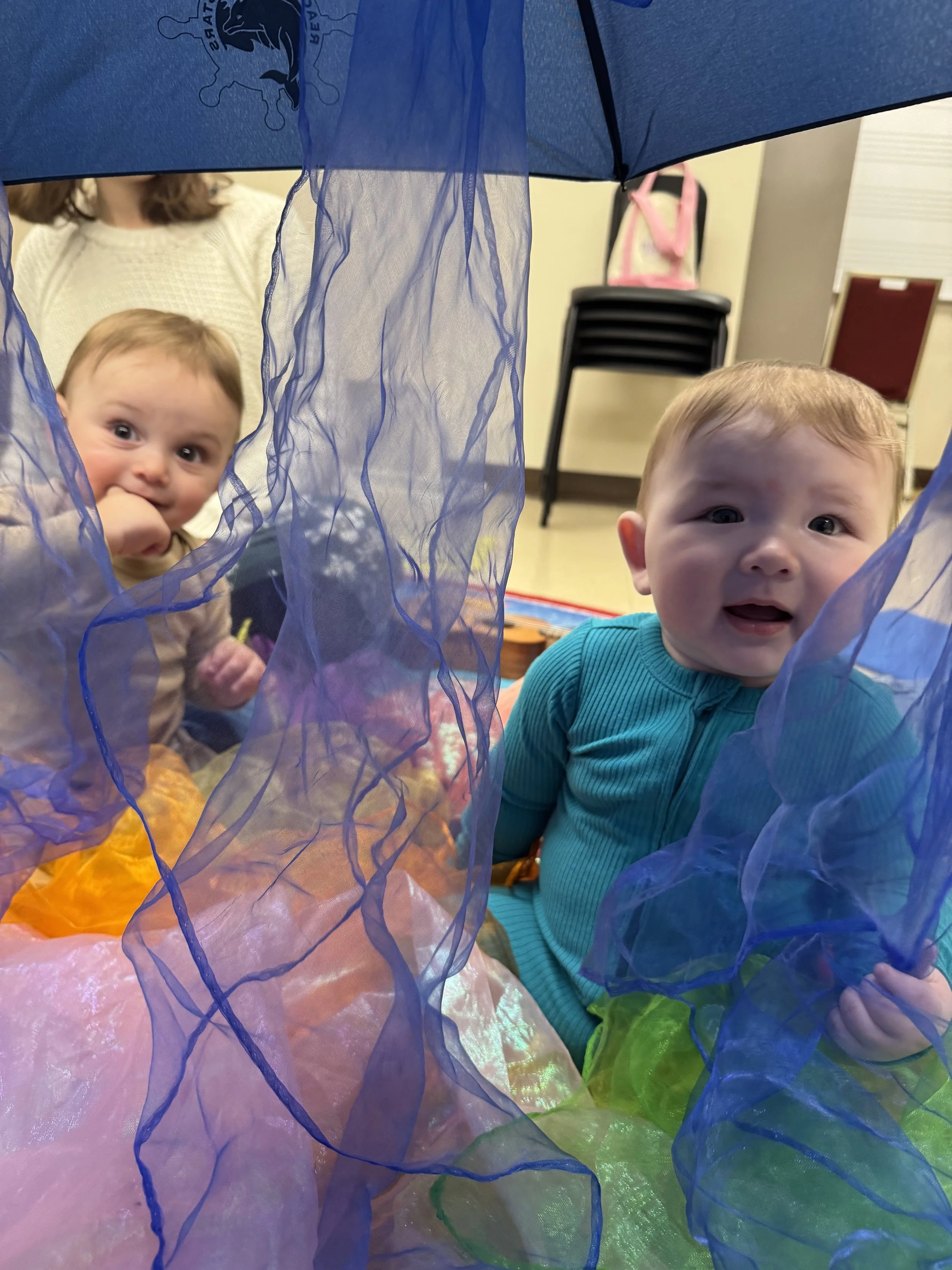 baby sing and sign grown up and me classes