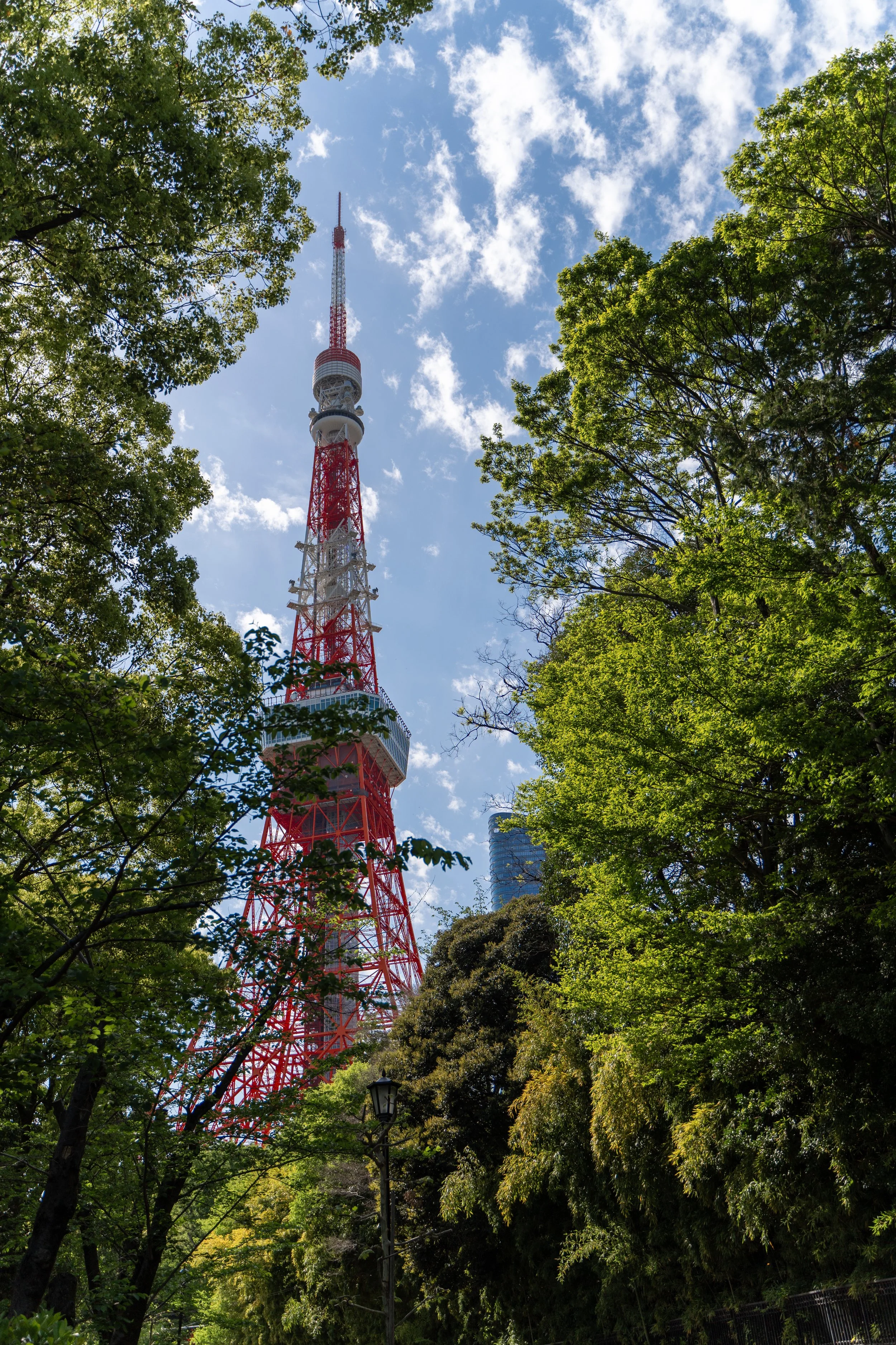japan_nicolas_lourme-046.jpg