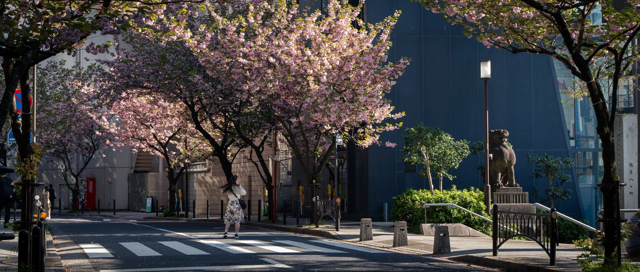 japan_nicolas_lourme-022.jpg