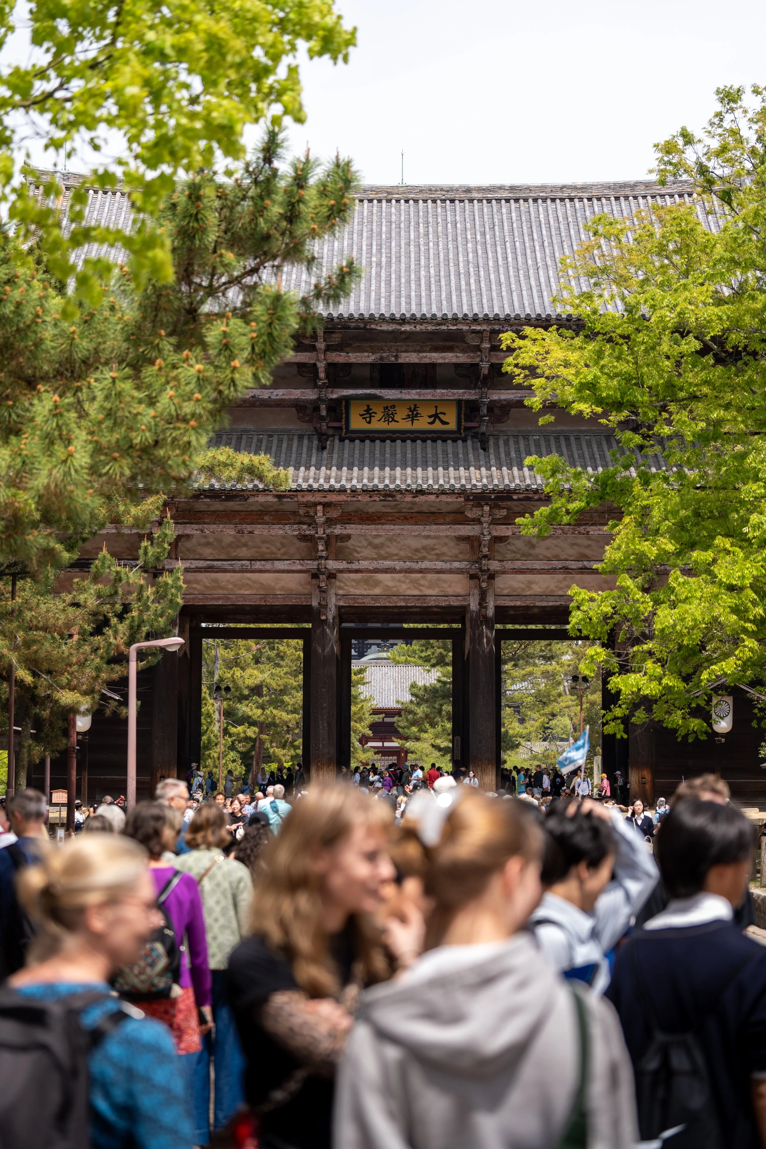 japan_nicolas_lourme-154.jpg