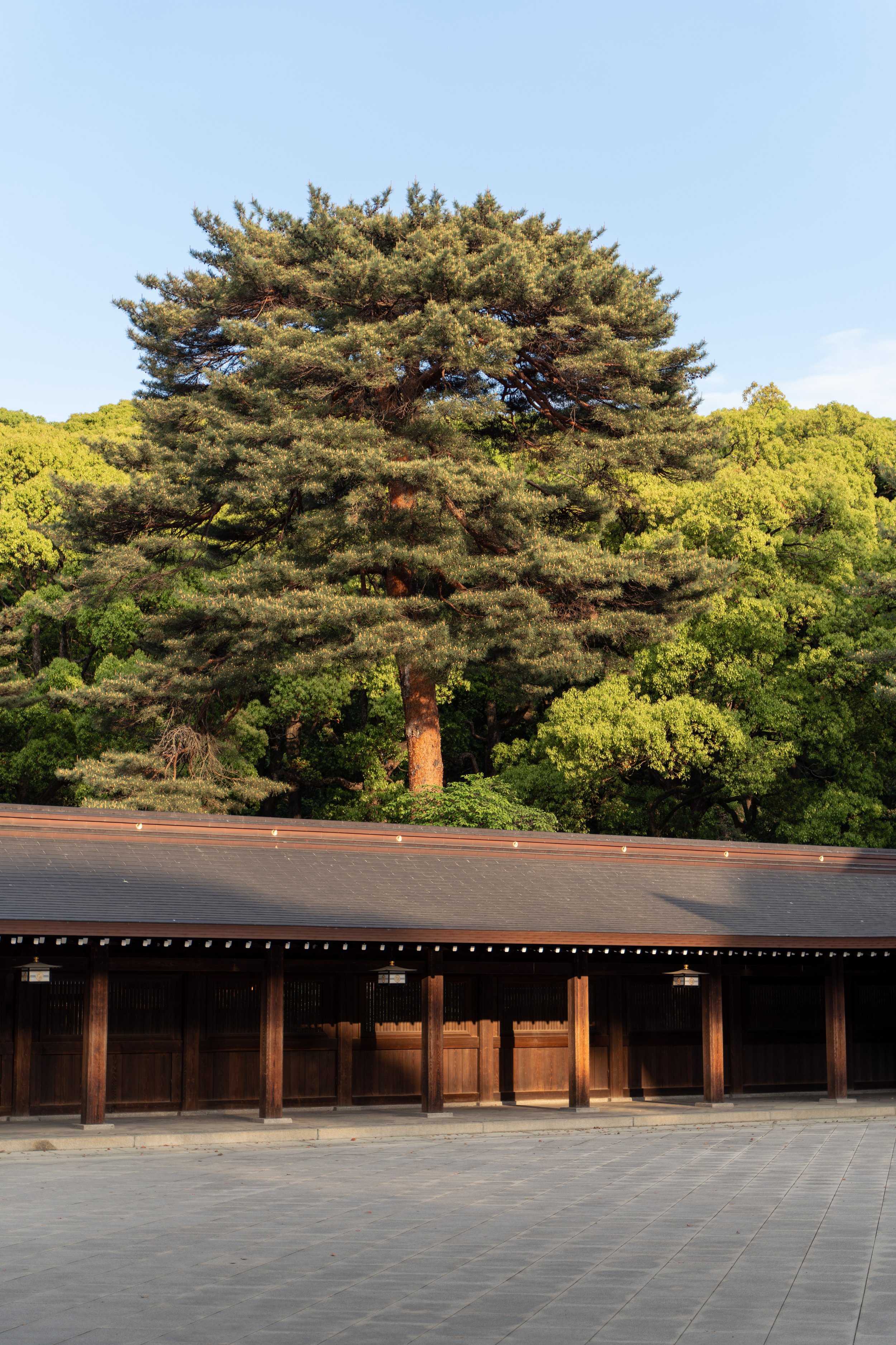 japan_nicolas_lourme-058.jpg