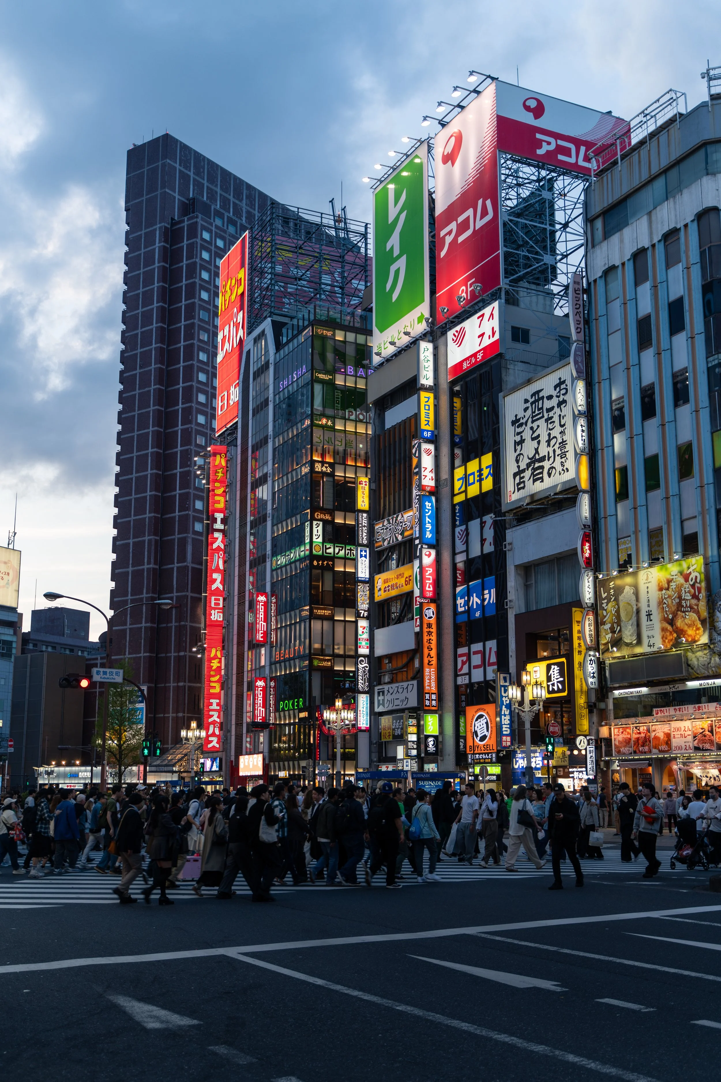 japan_nicolas_lourme-033.jpg
