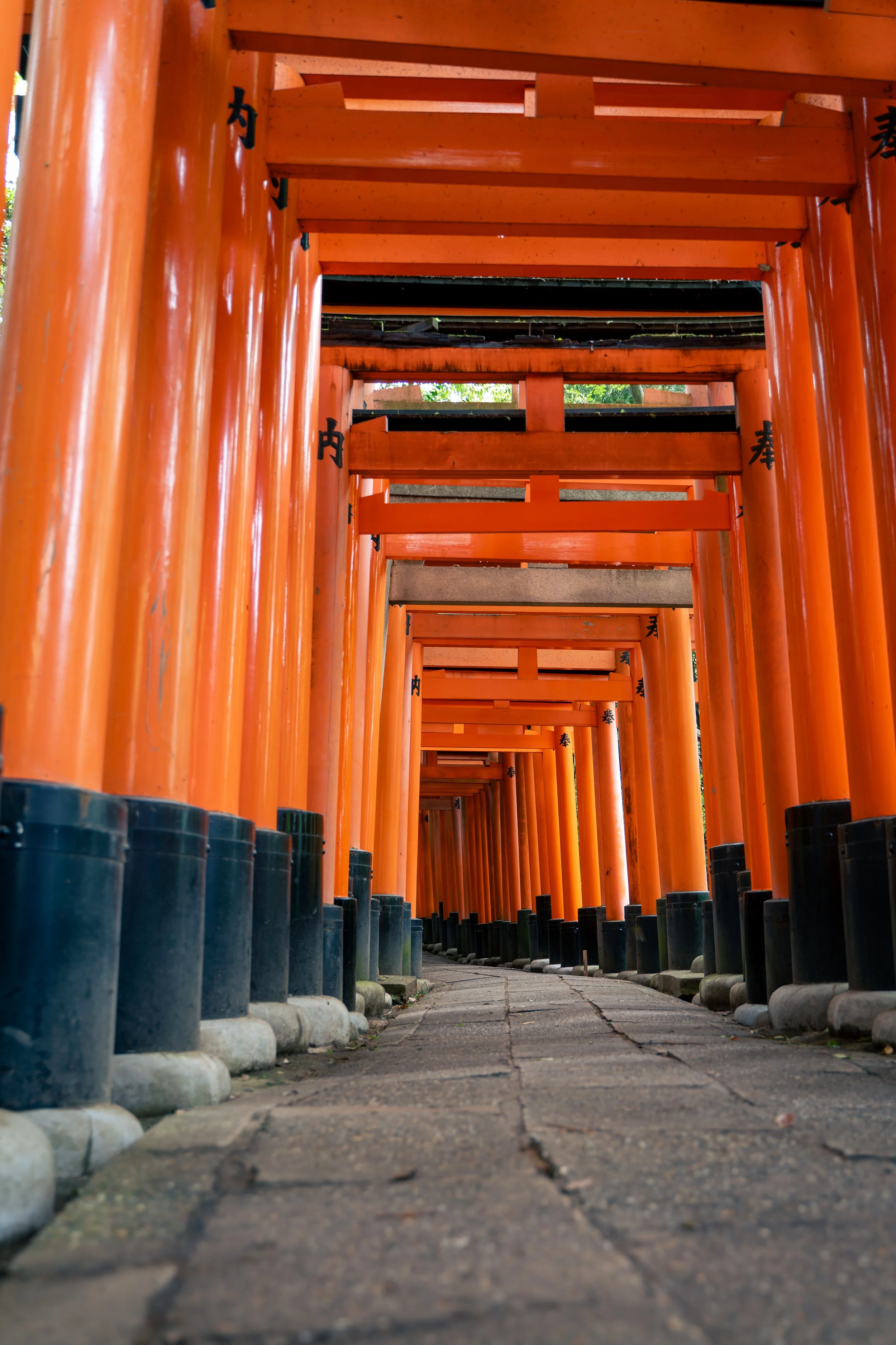 japan_nicolas_lourme-117.jpg