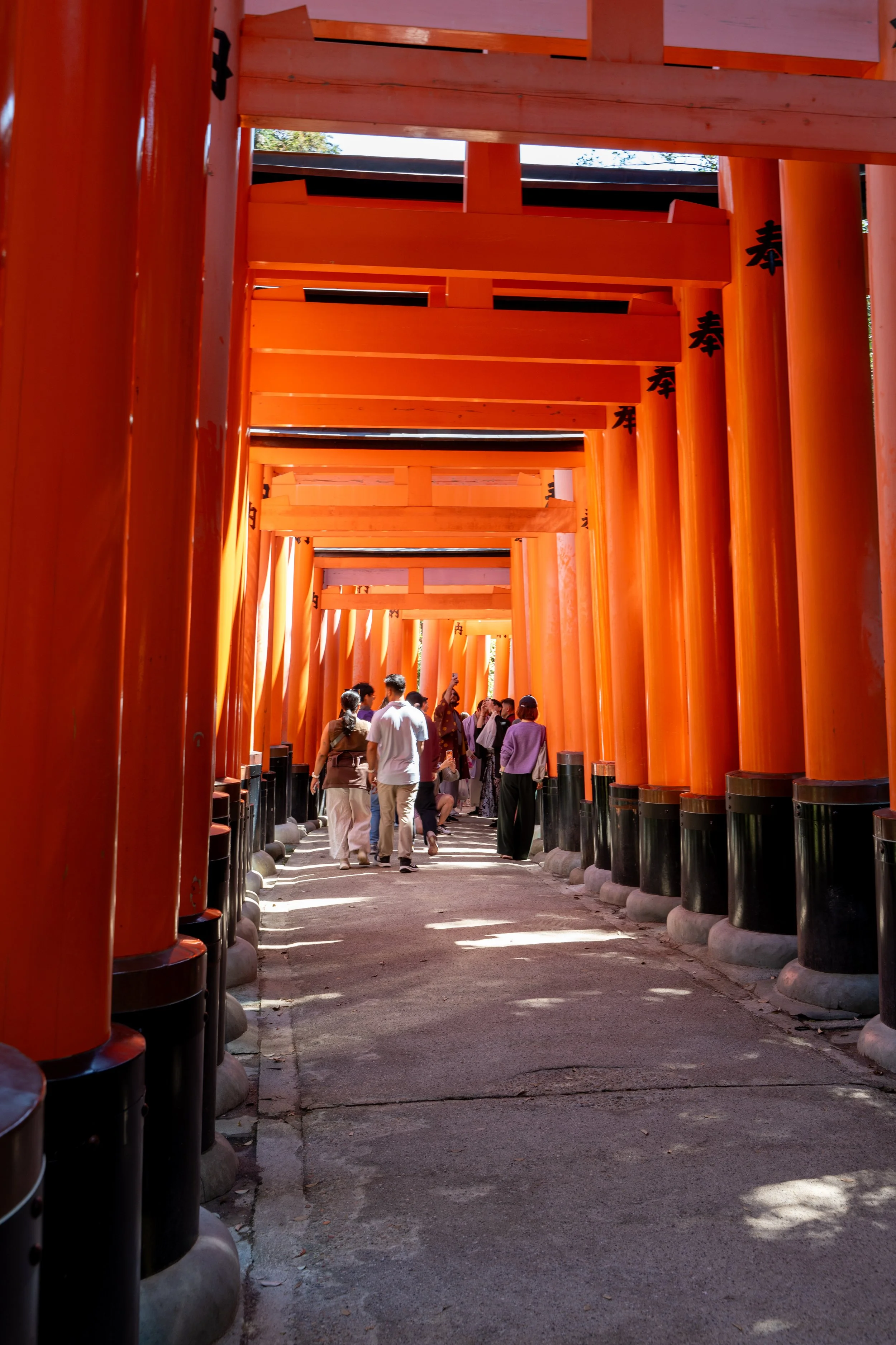 japan_nicolas_lourme-112.jpg