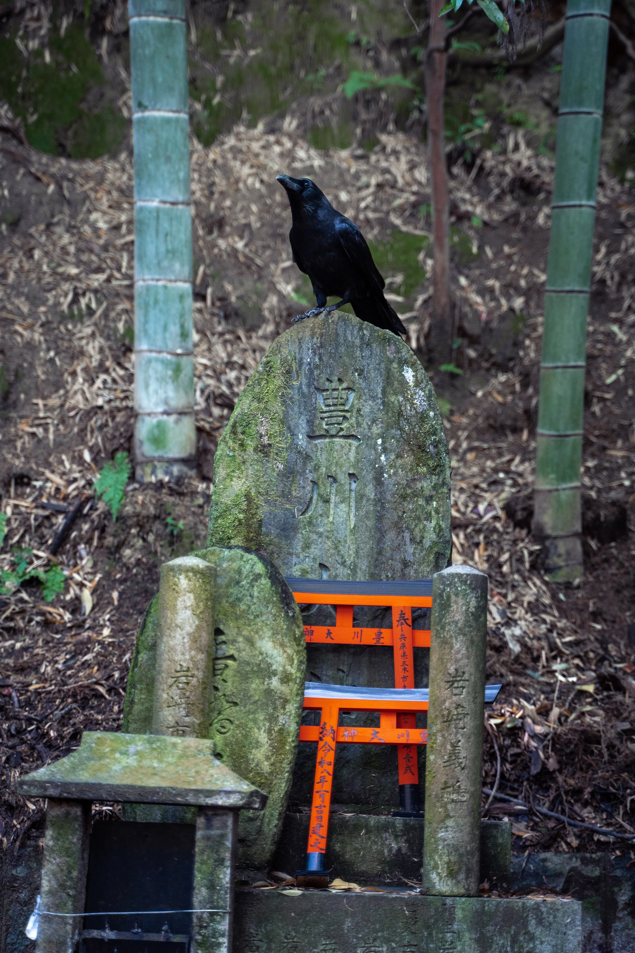 japan_nicolas_lourme-115.jpg