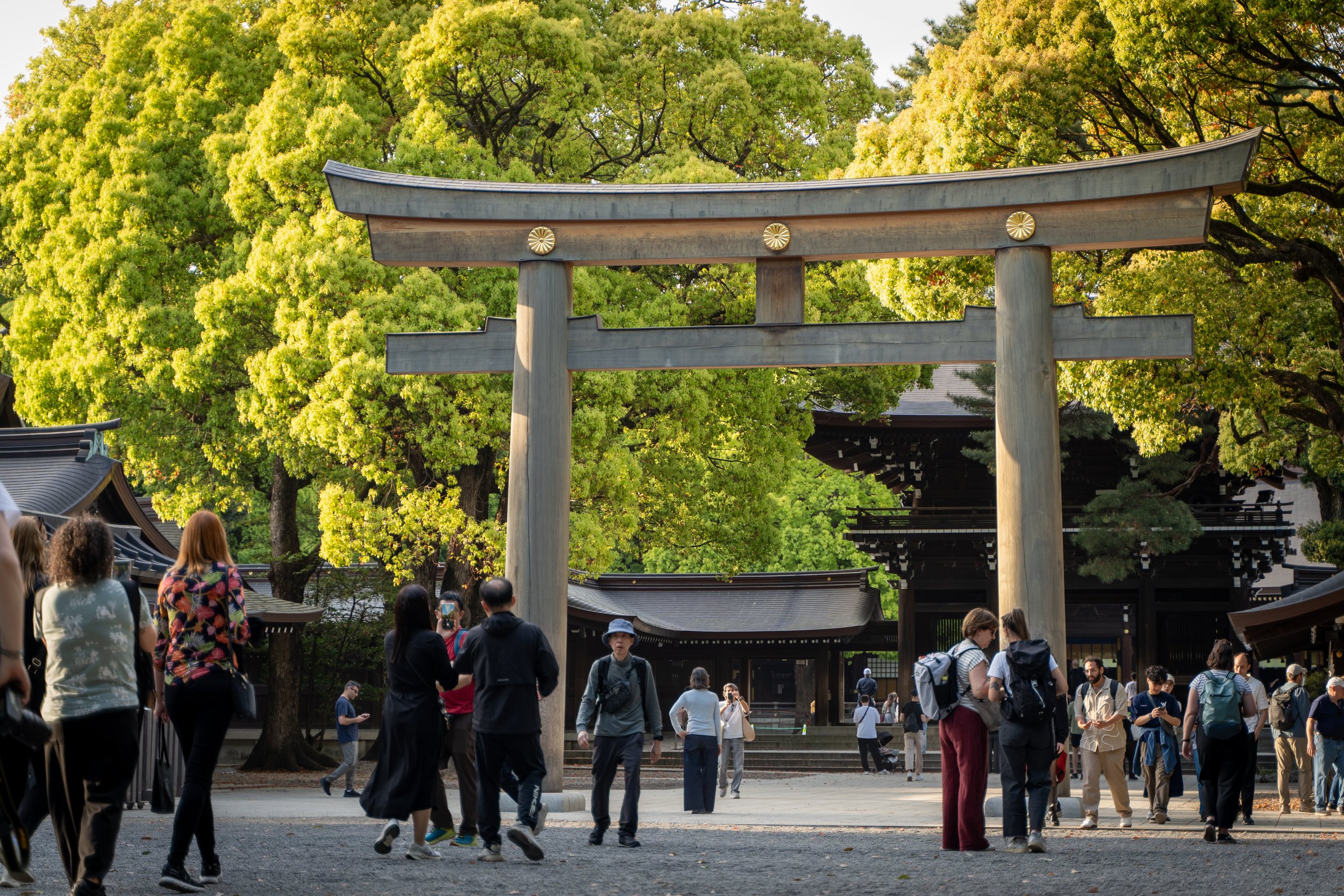 japan_nicolas_lourme-054.jpg
