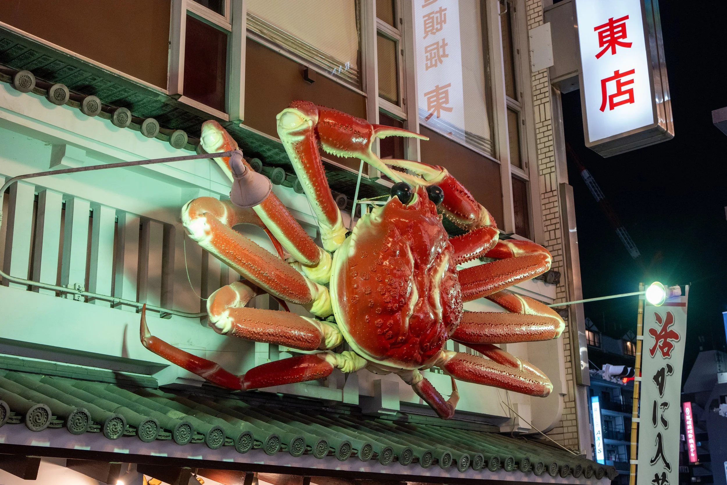 japan_nicolas_lourme-139.jpg