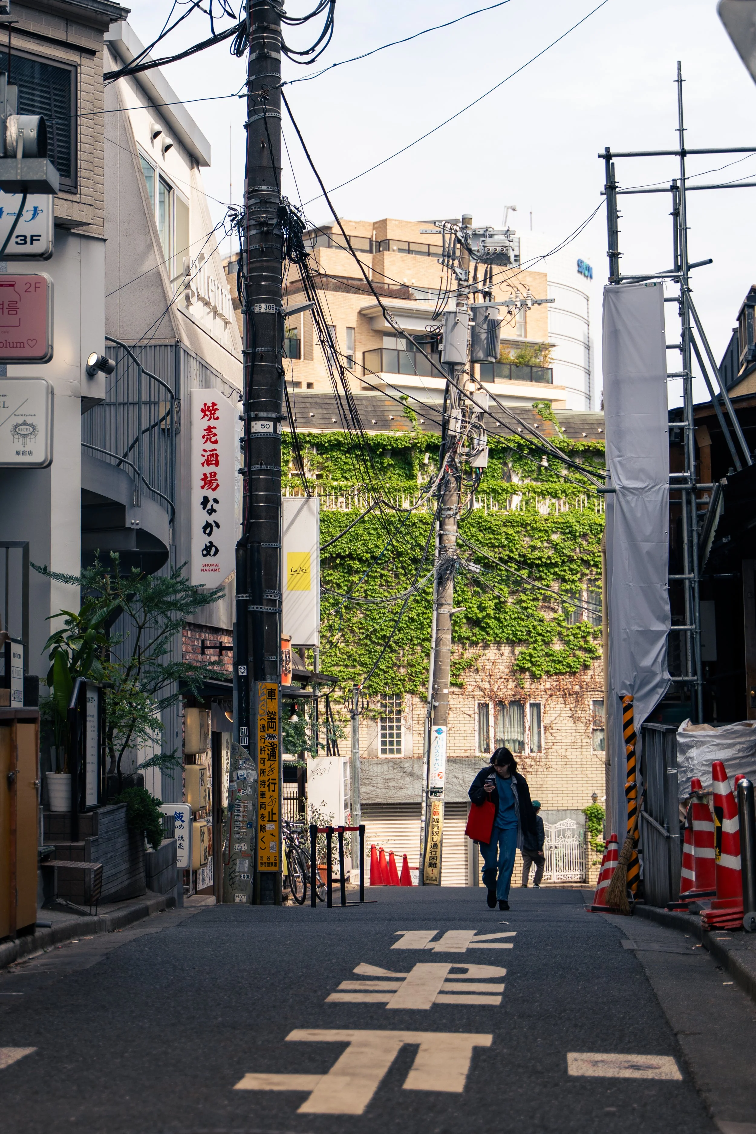 japan_nicolas_lourme-088.jpg