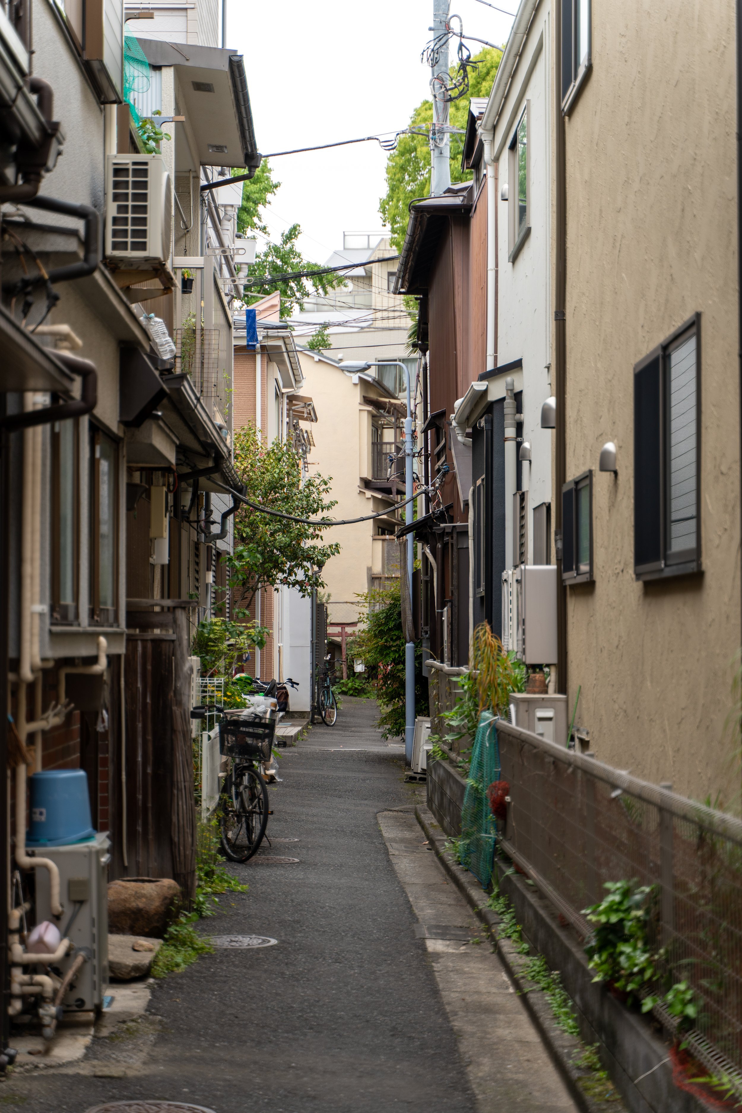 japan_nicolas_lourme-102.jpg