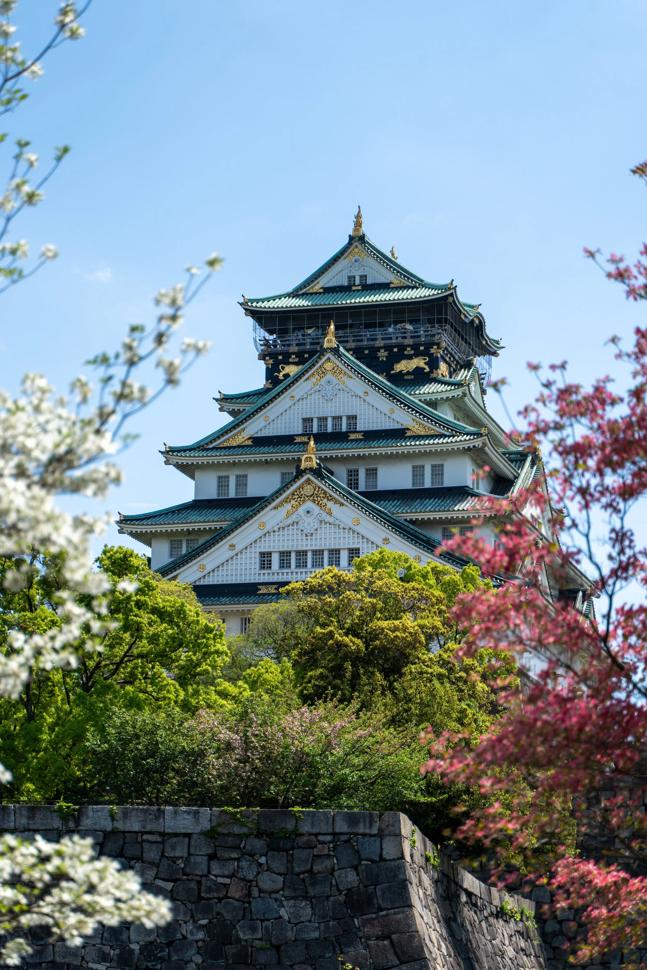 japan_nicolas_lourme-182.jpg