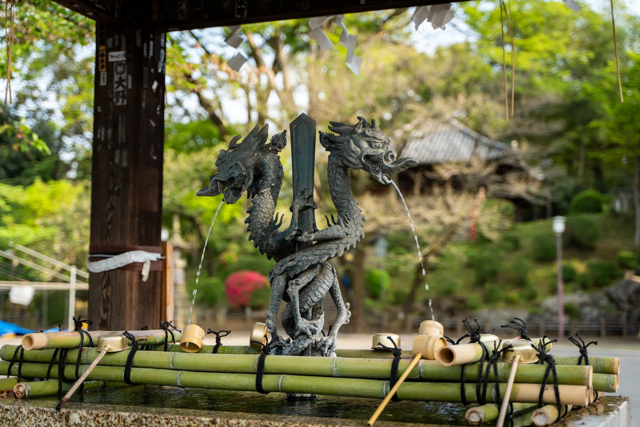japan_nicolas_lourme-080.jpg