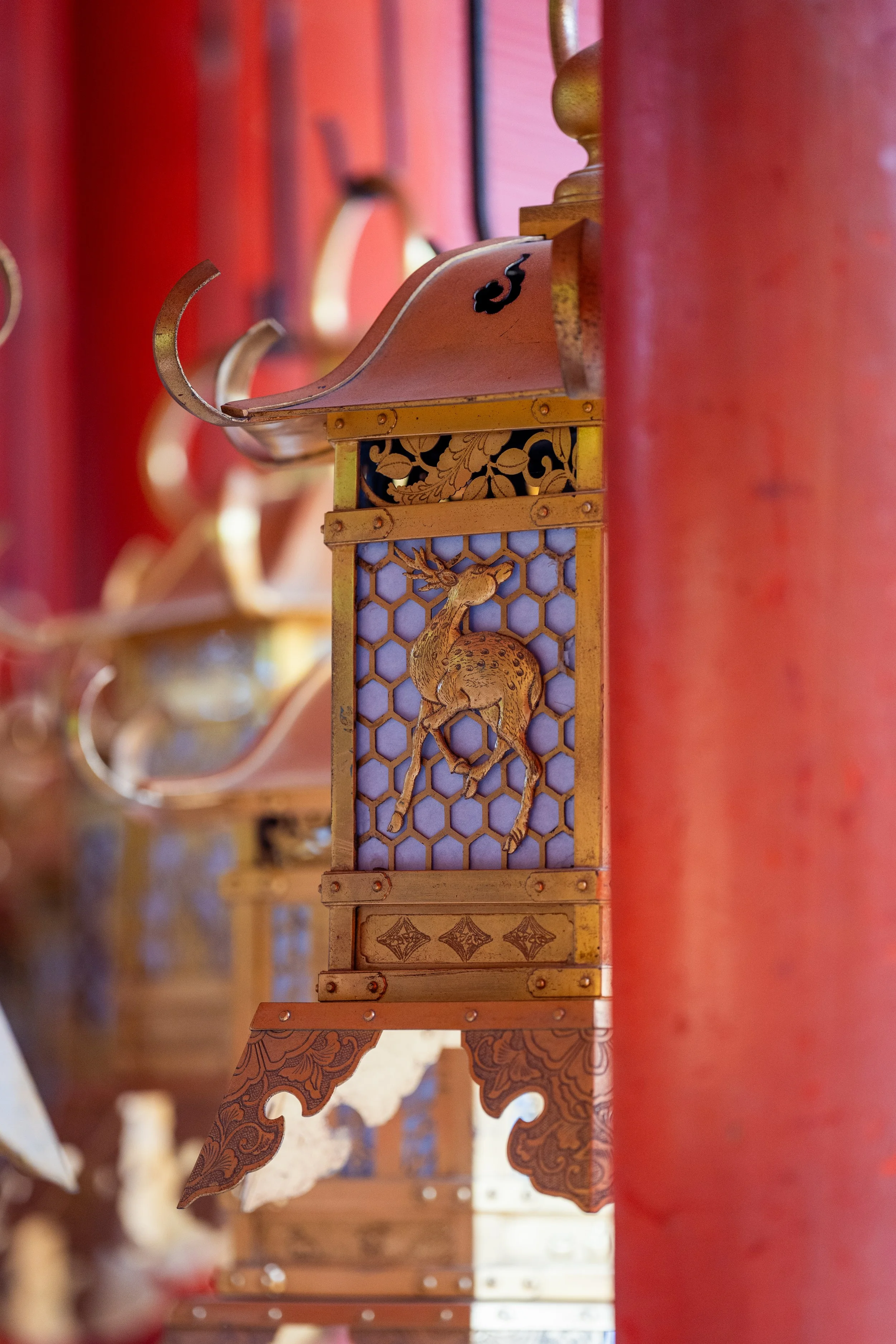 japan_nicolas_lourme-166.jpg
