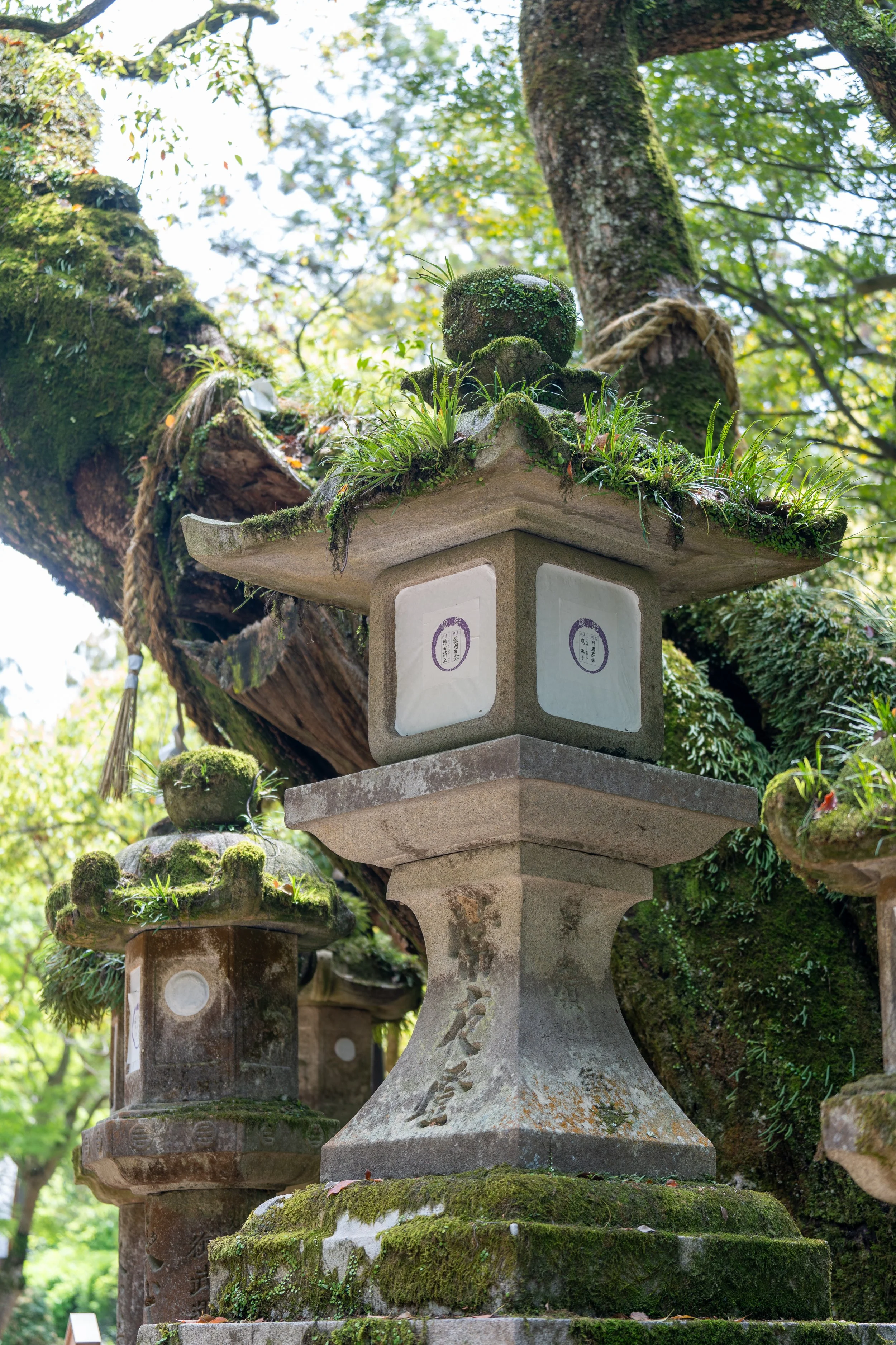 japan_nicolas_lourme-168.jpg