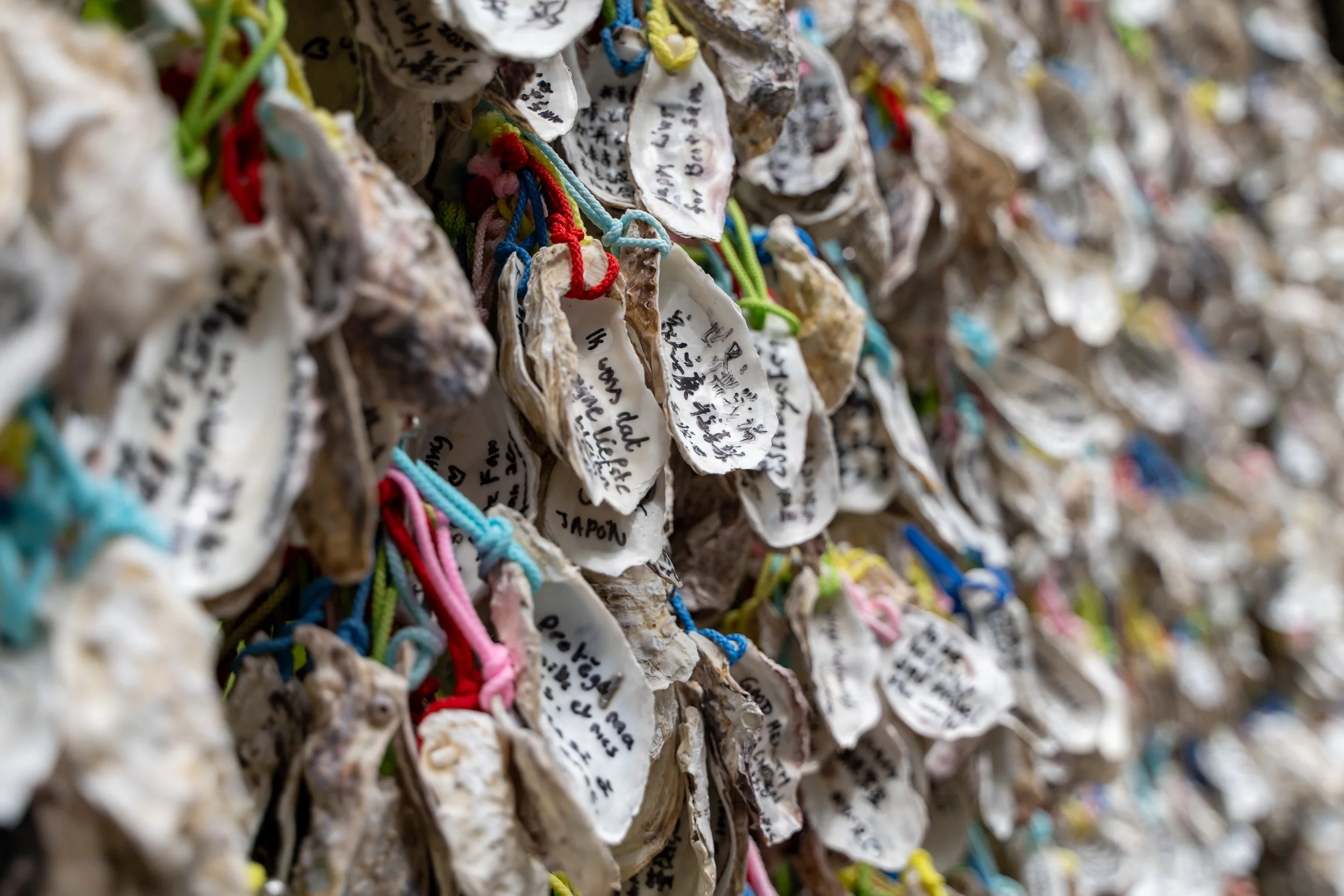 japan_nicolas_lourme-093.jpg