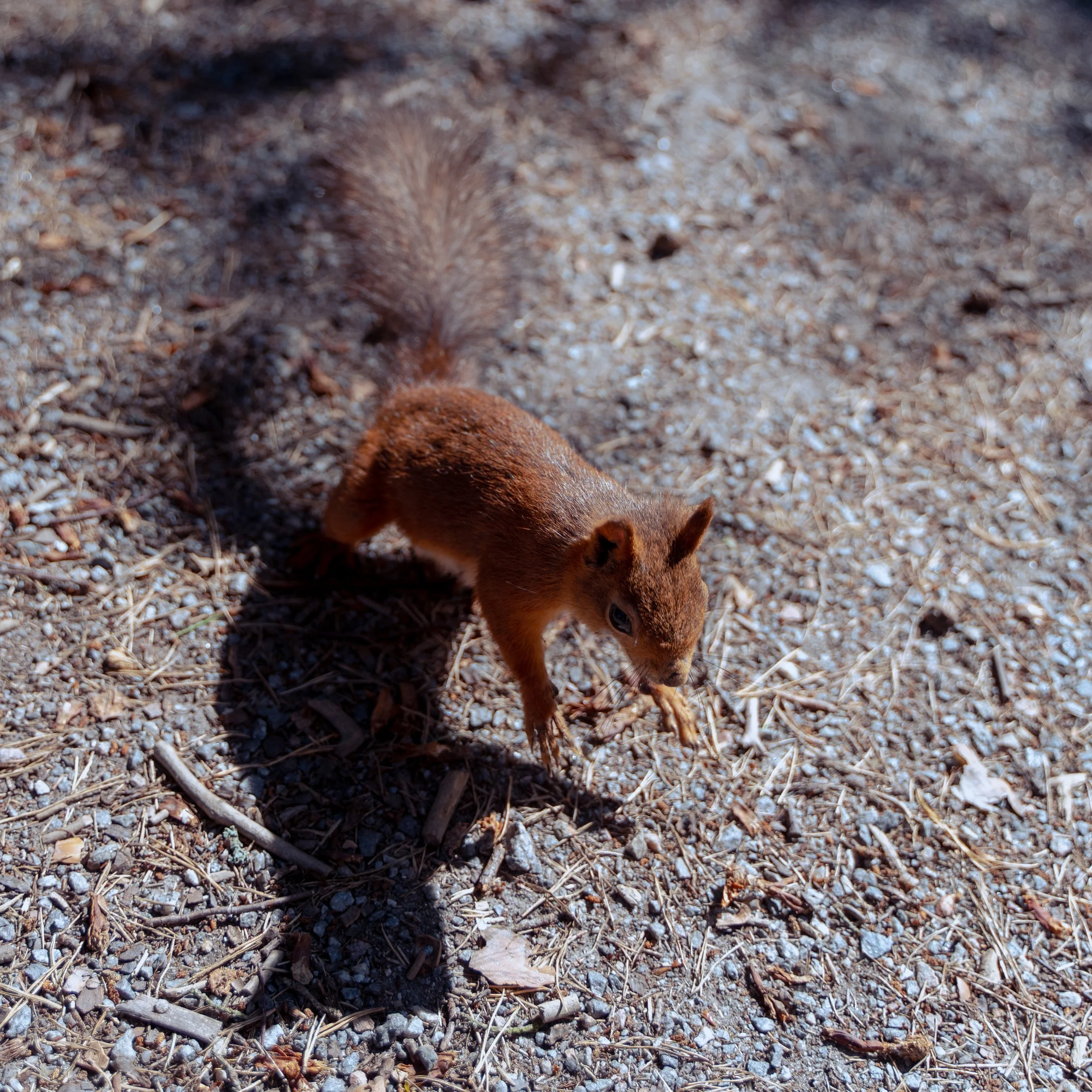 stockholm_2026_nicolas_lourme-019.jpg