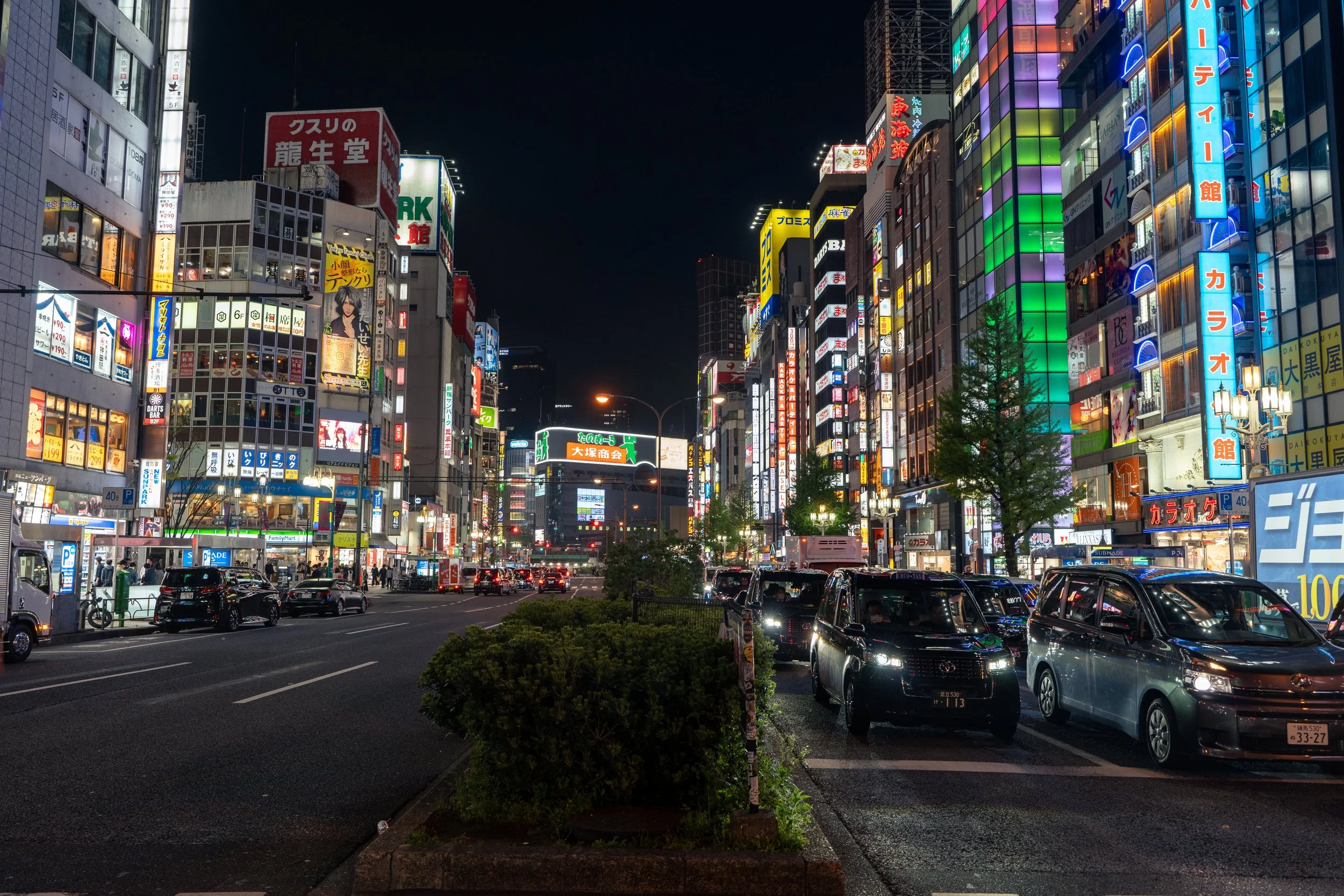japan_nicolas_lourme-040.jpg