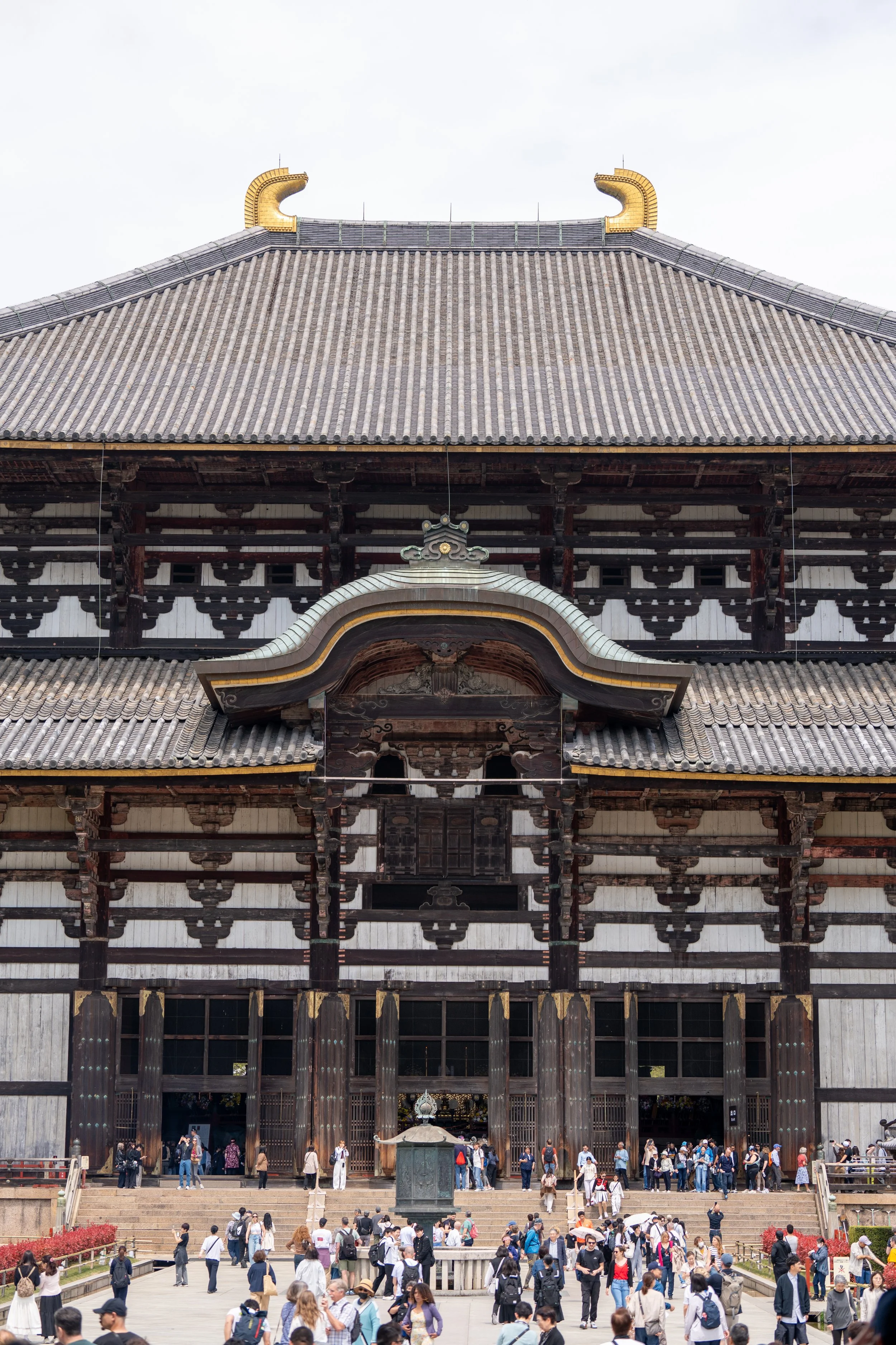 japan_nicolas_lourme-159.jpg