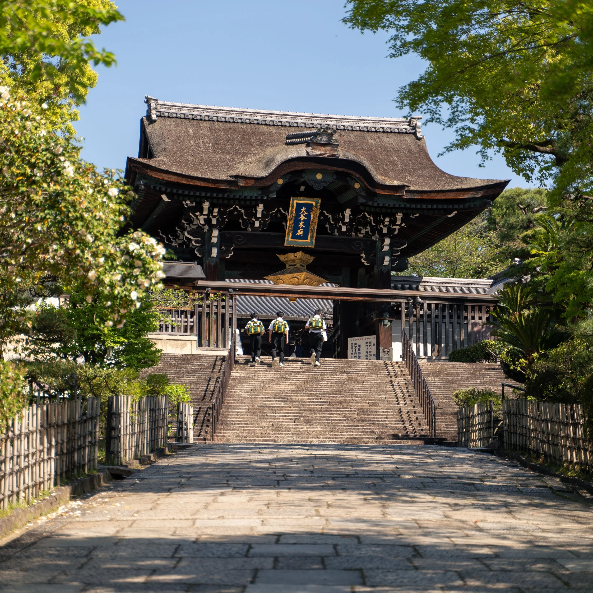 japan_nicolas_lourme-121.jpg