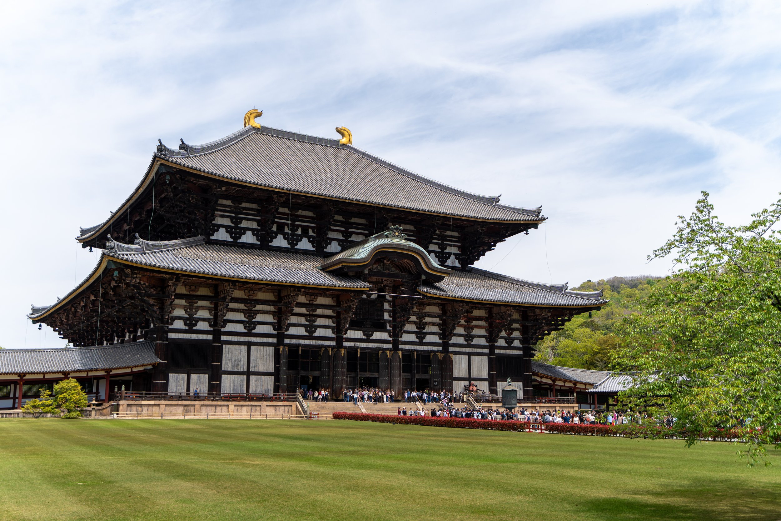 japan_nicolas_lourme-161.jpg